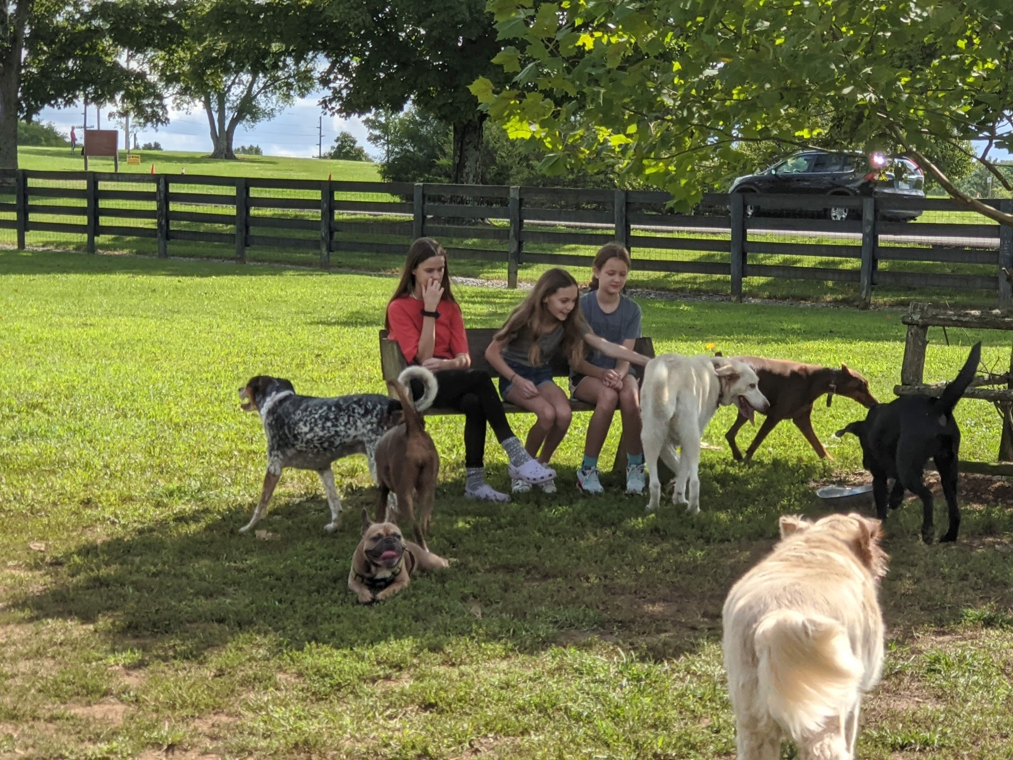 Edwin Warner Dog Park - Nashville, TN