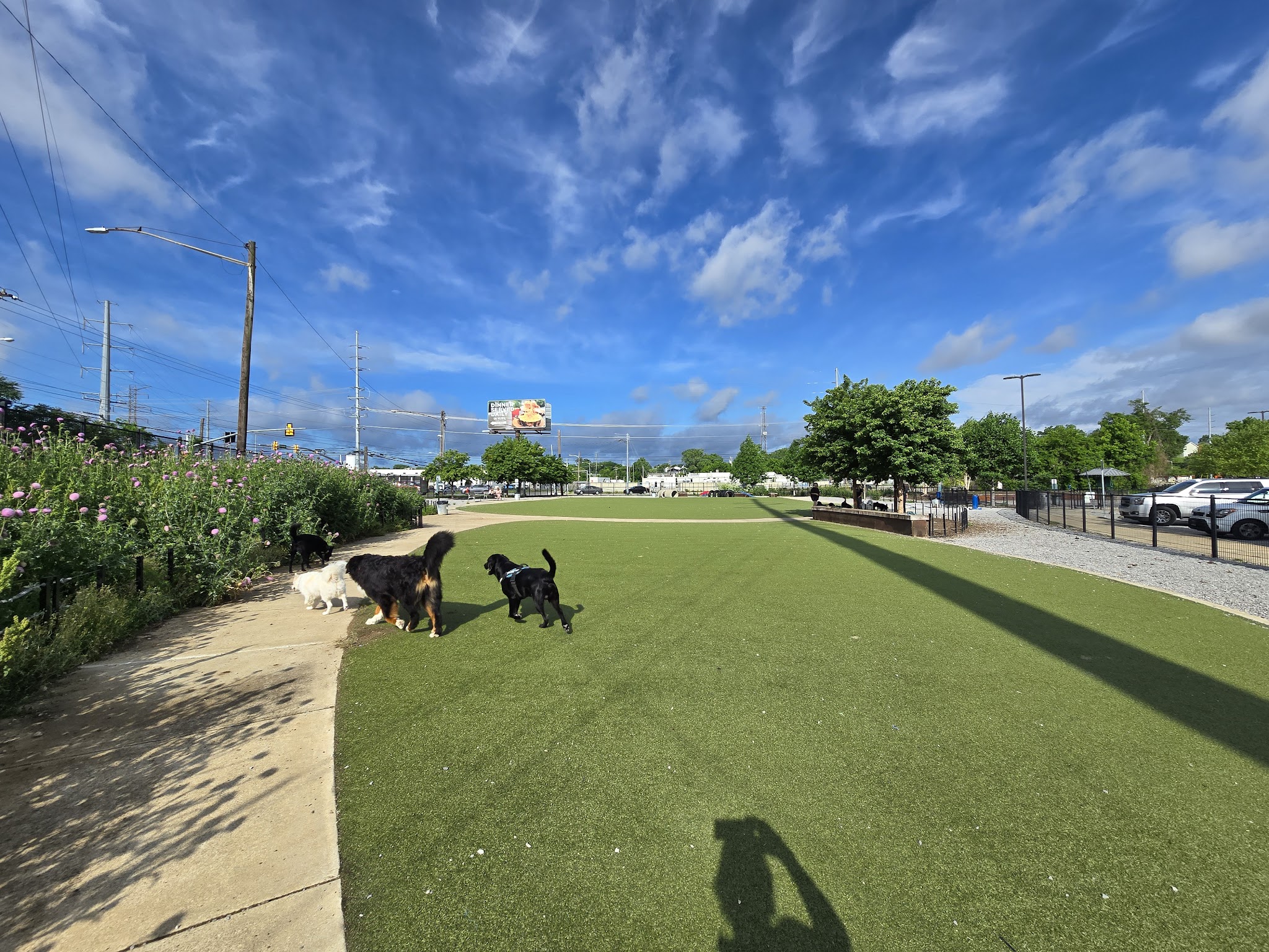 Fair Park Dog Park - Nashville, TN