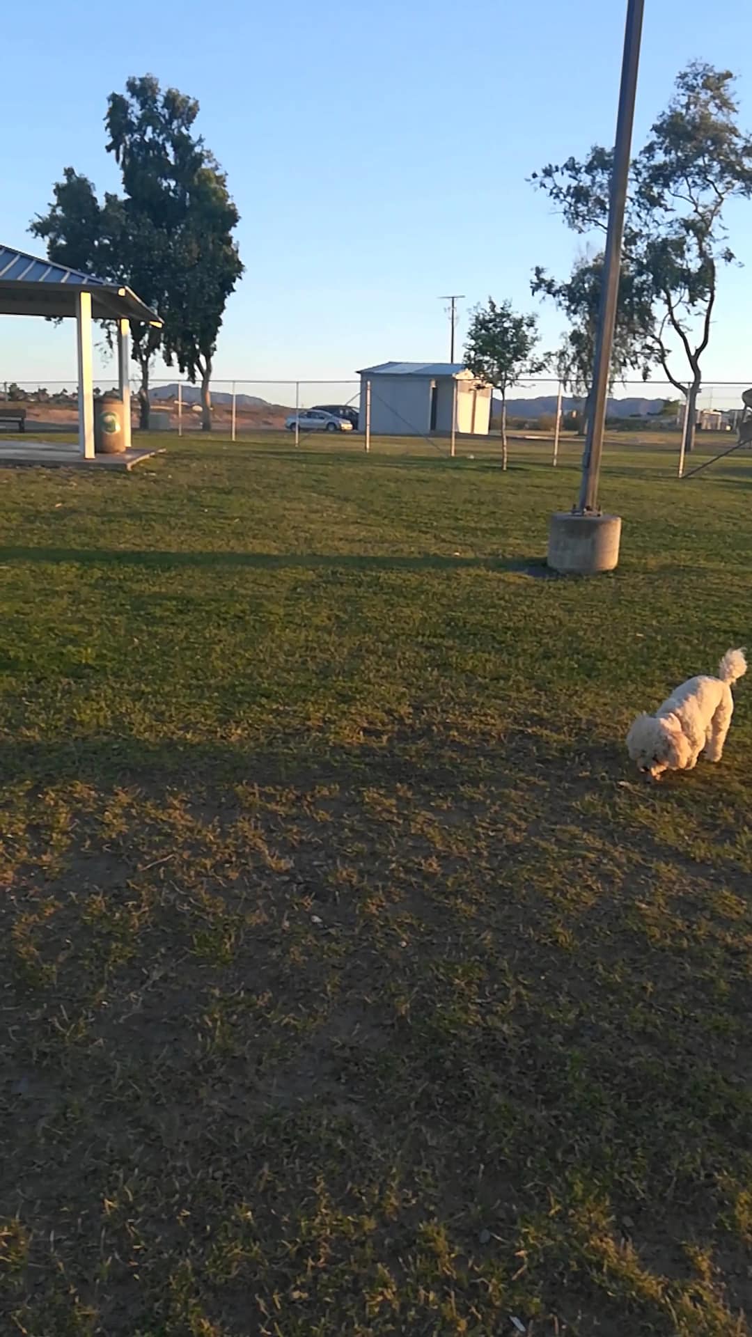 Spike's Desert Dog Parks - Needles, CA