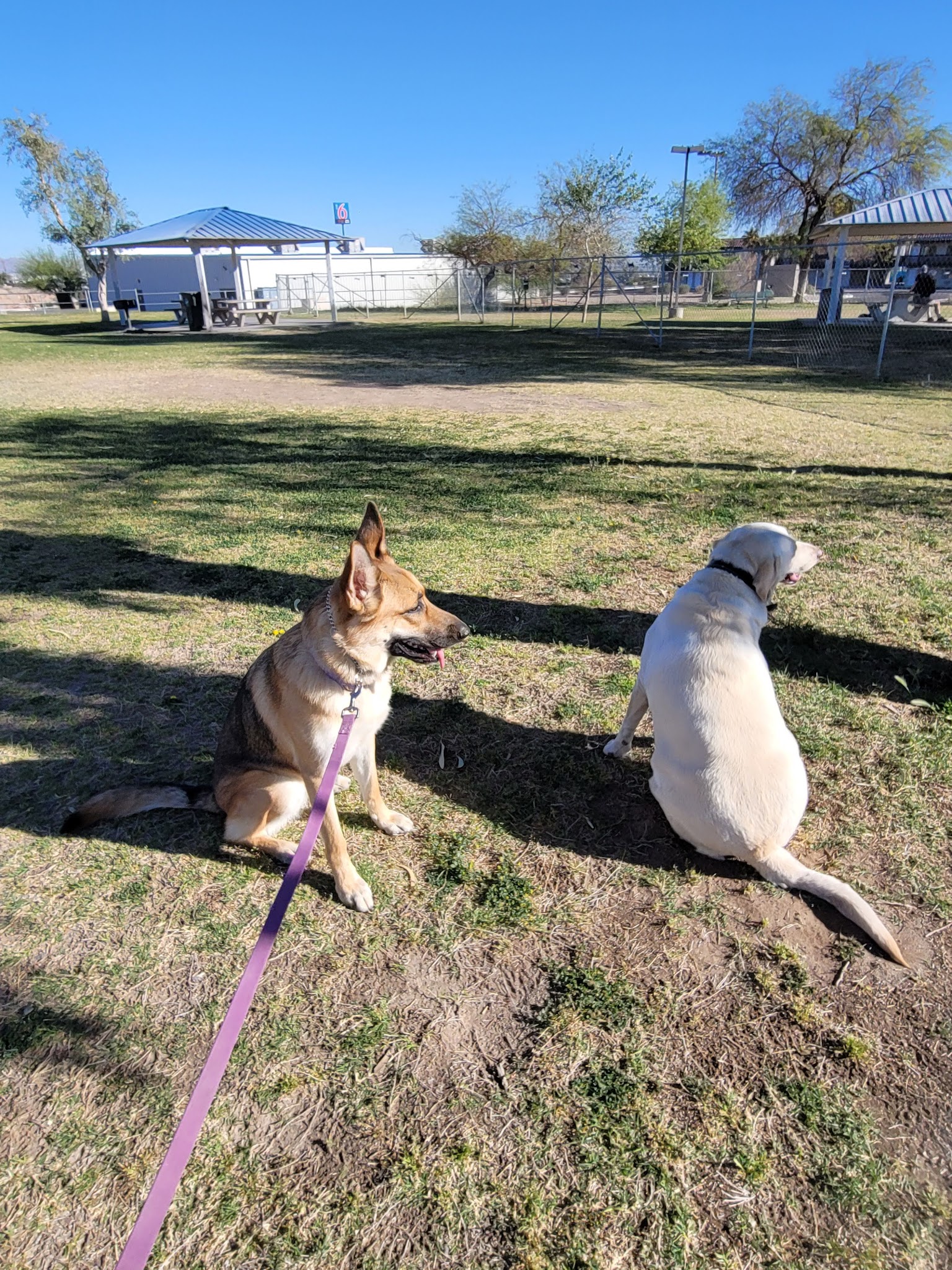 Spike's Desert Dog Parks - Needles, CA