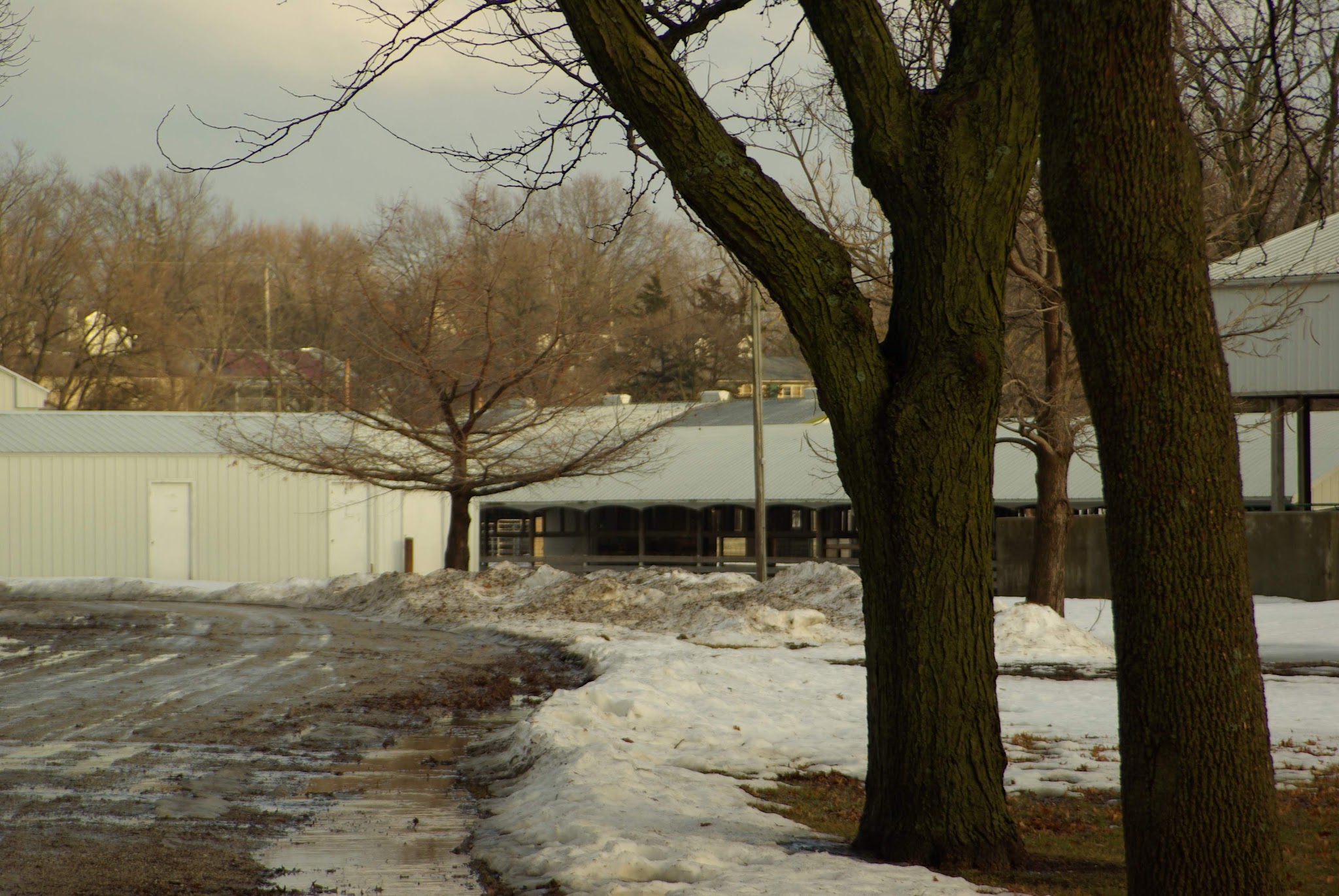 4-H Park - Nevada, IA