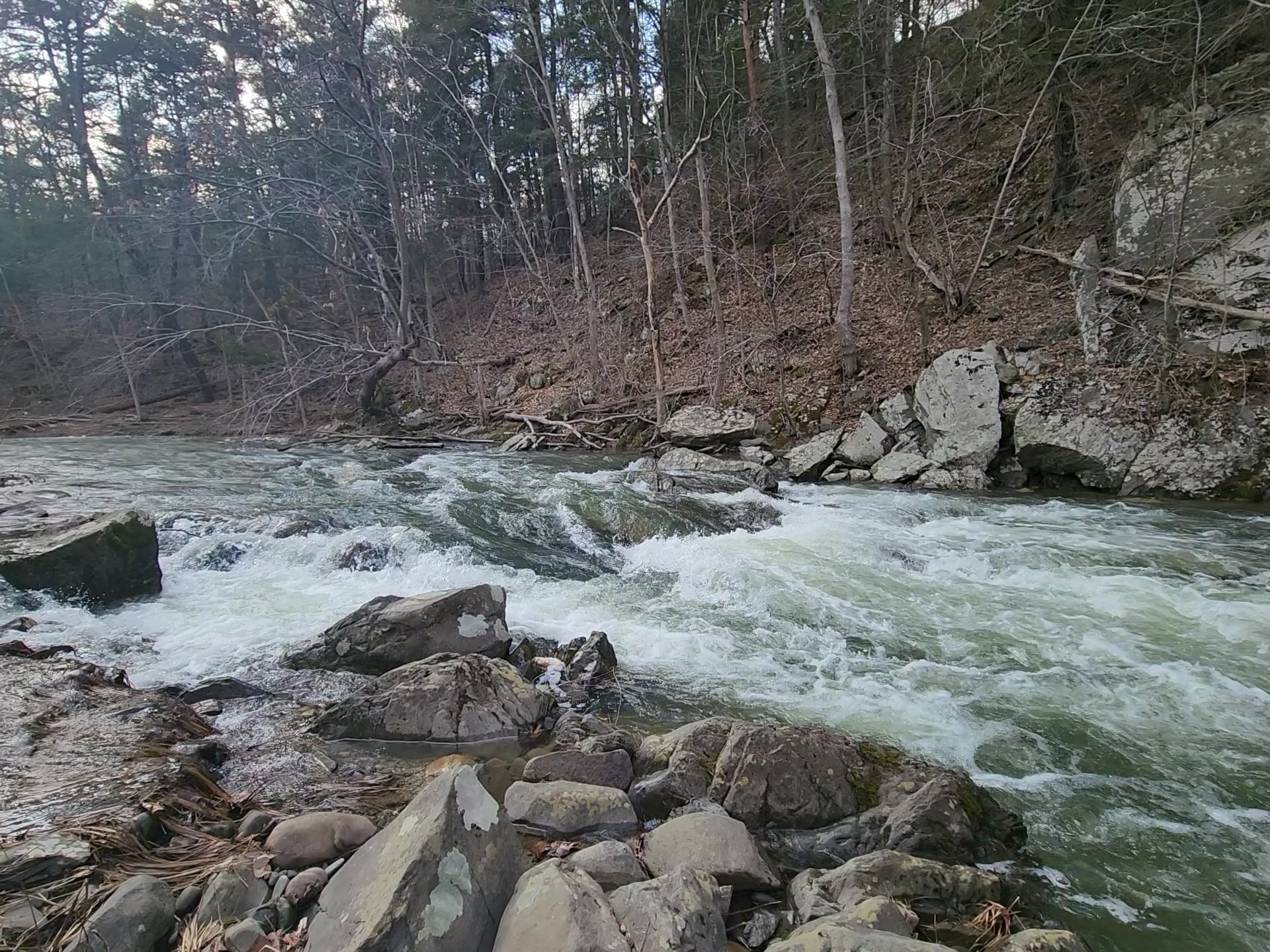 Hannacroix Creek Preserve - New Baltimore, NY