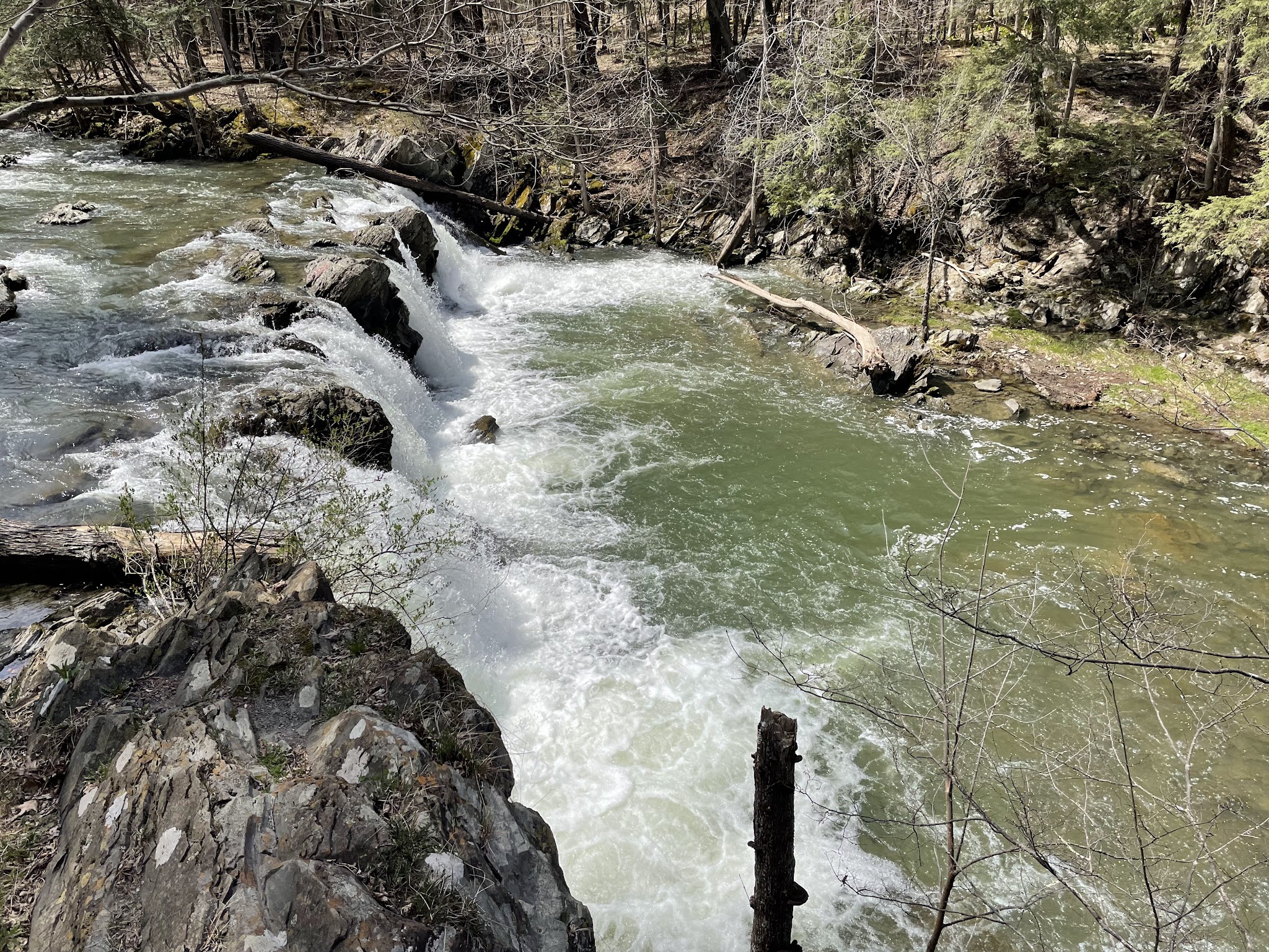 Hannacroix Creek Preserve - New Baltimore, NY