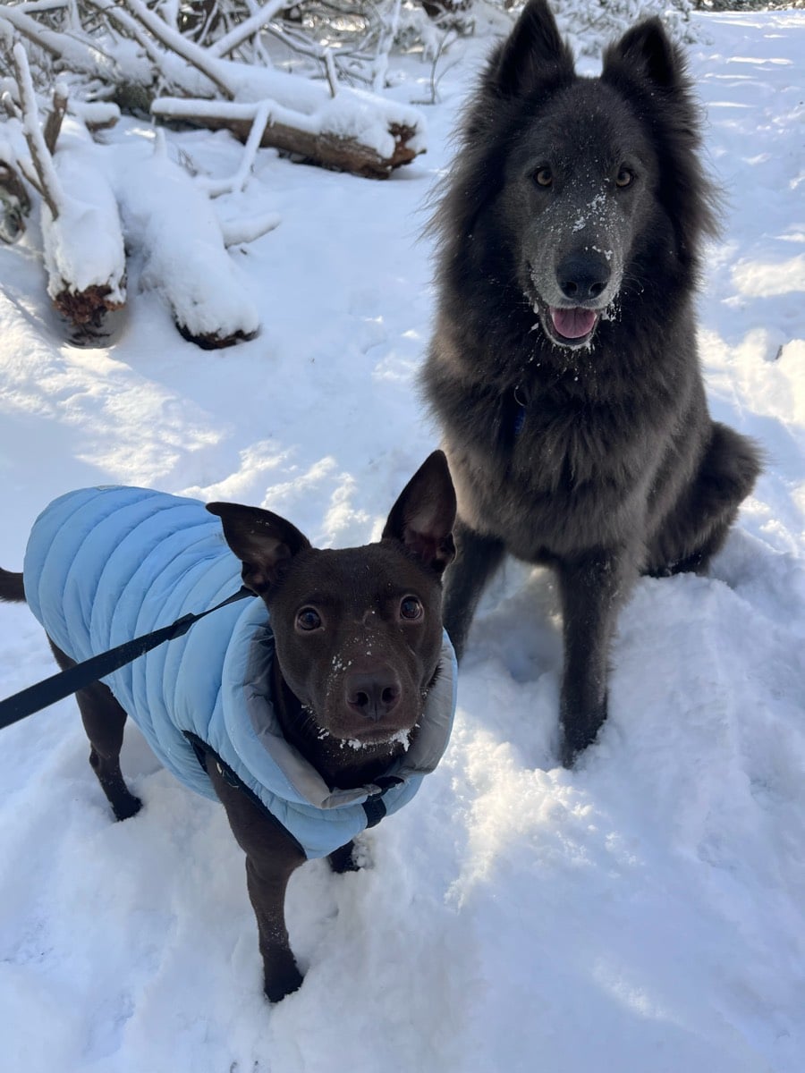 Cora's Zone - New Boston, NH