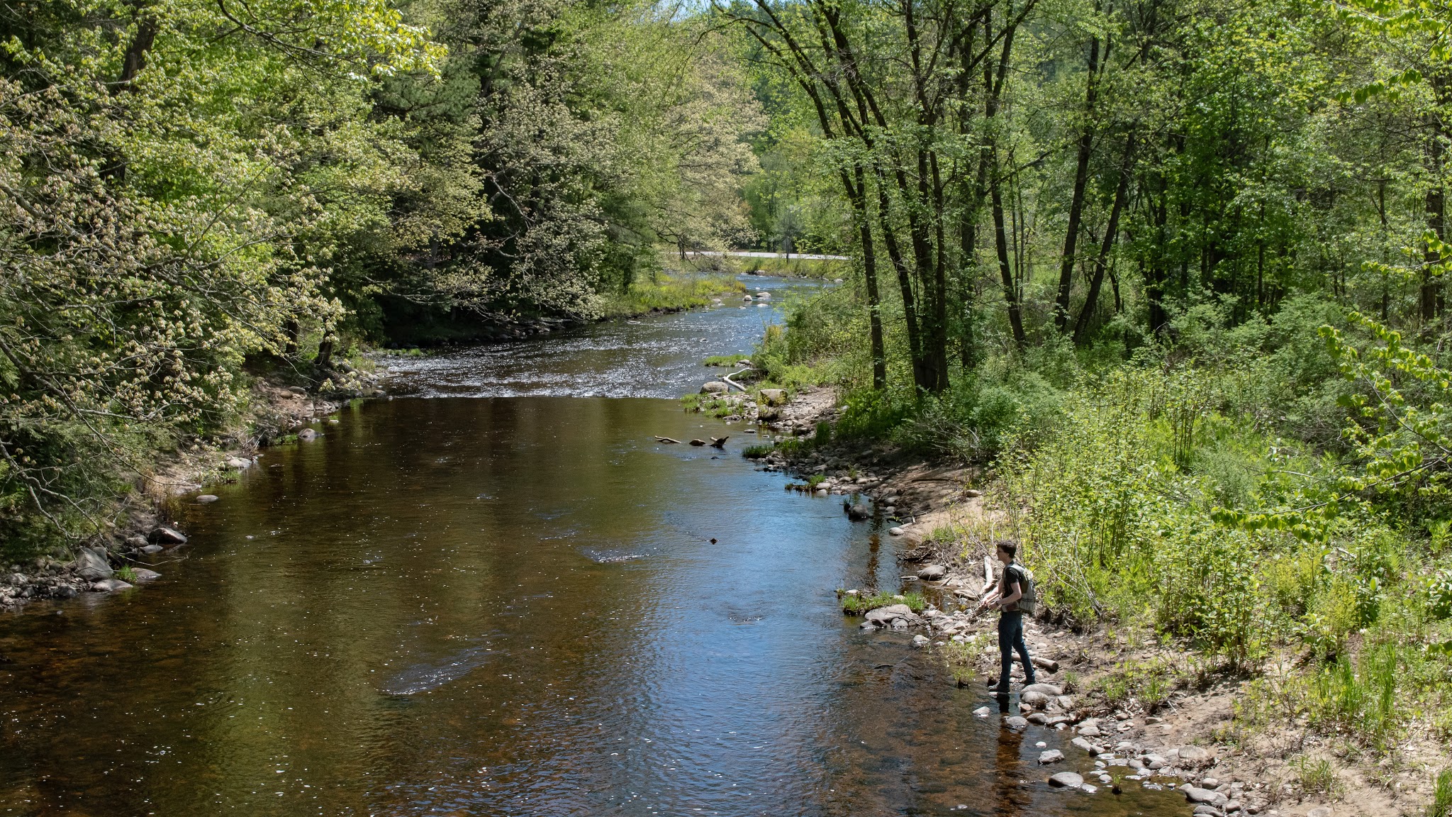 Lang Station State Forest - New Boston, NH