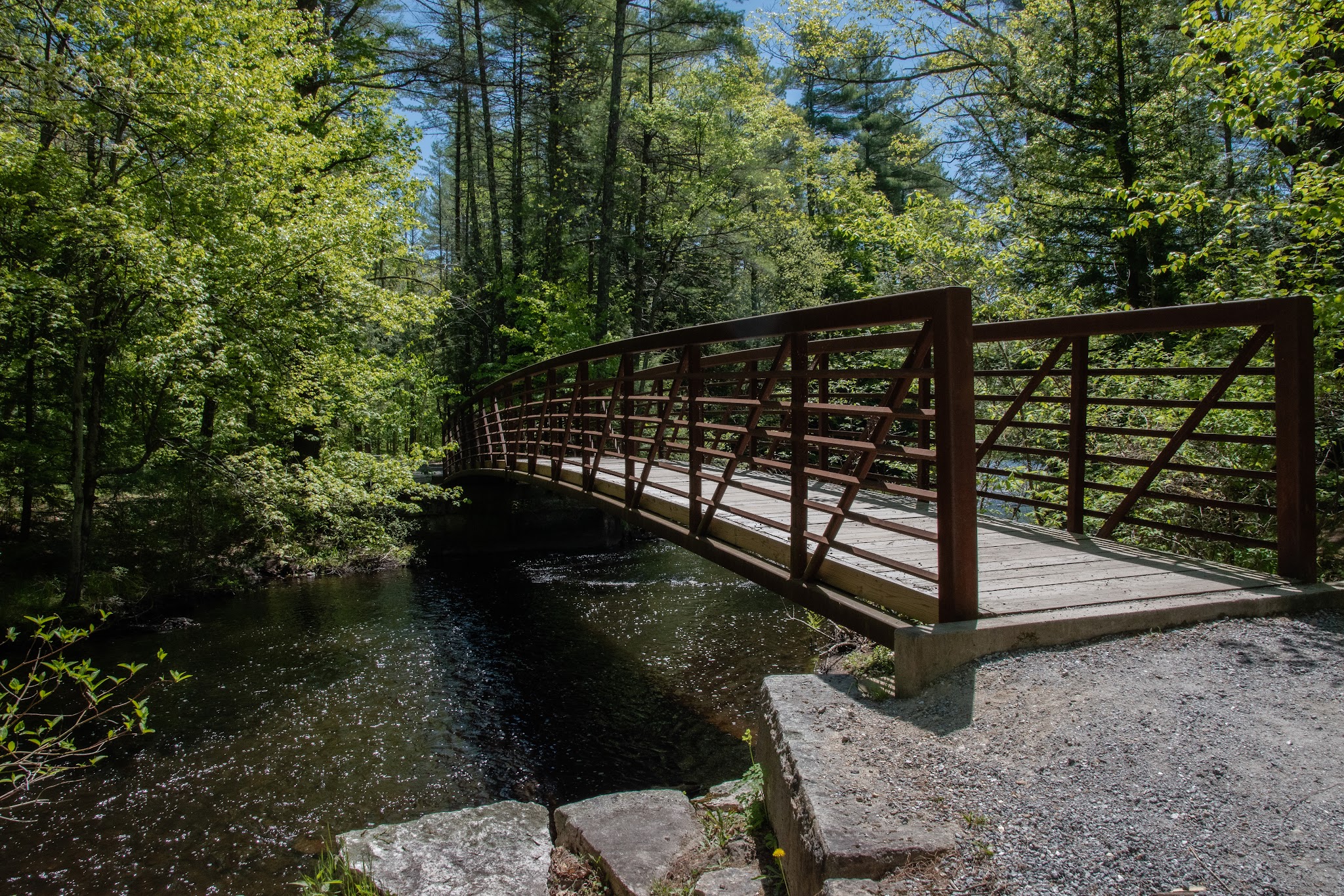 Lang Station State Forest - New Boston, NH