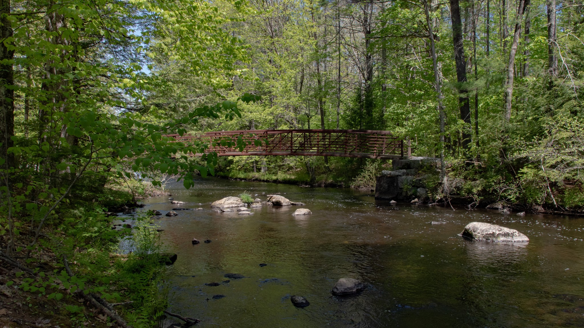 Lang Station State Forest - New Boston, NH