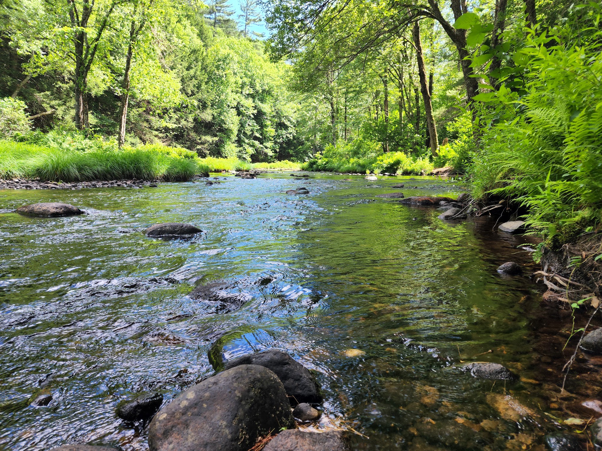 New Boston Conservation Area - New Boston, NH