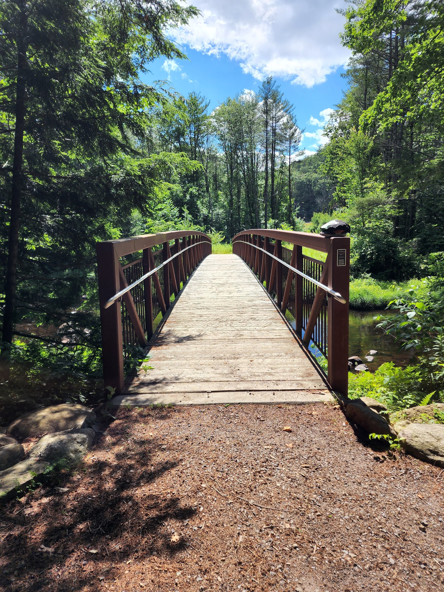 New Boston Conservation Area - New Boston, NH