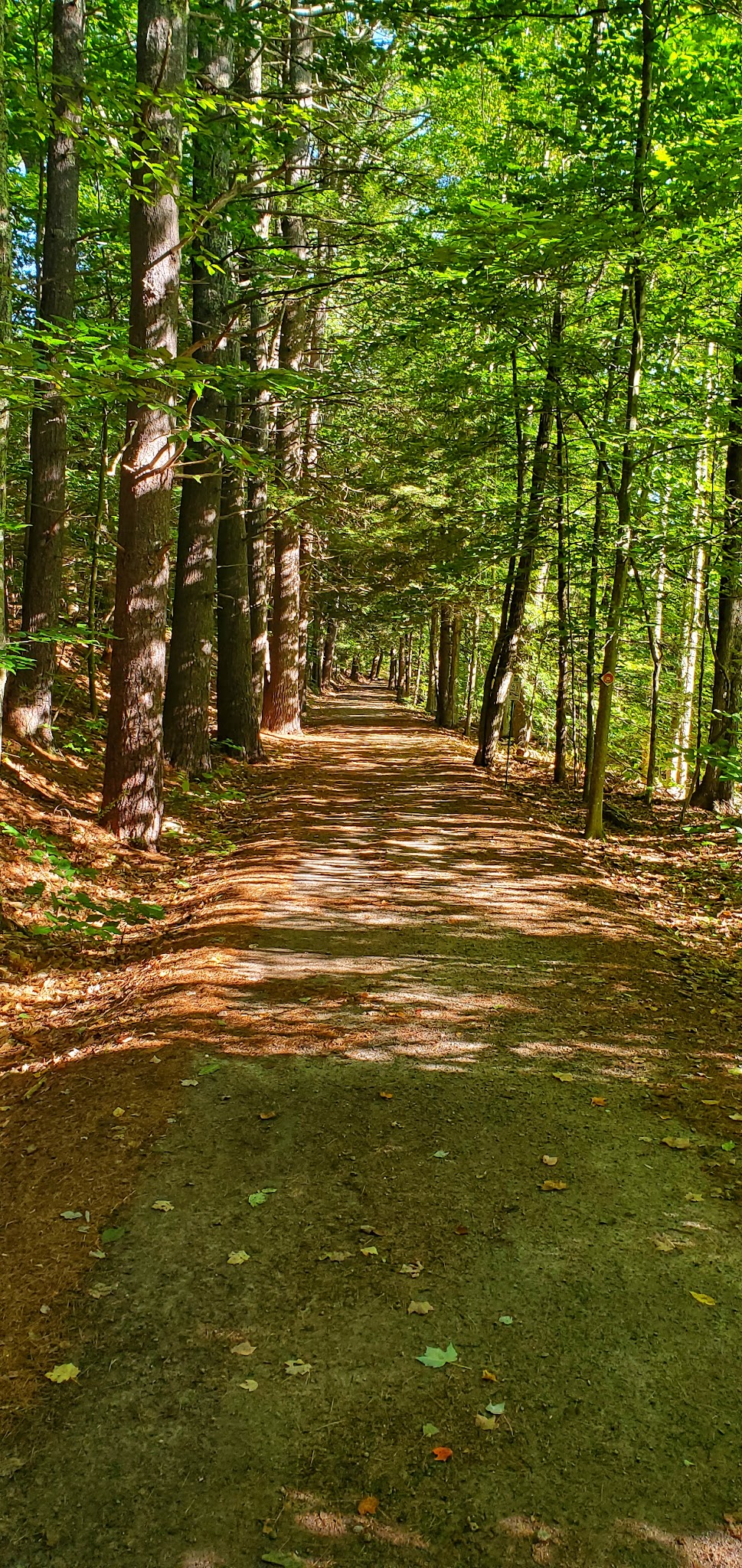 New Boston Rail Trail South Trailhead - New Boston, NH