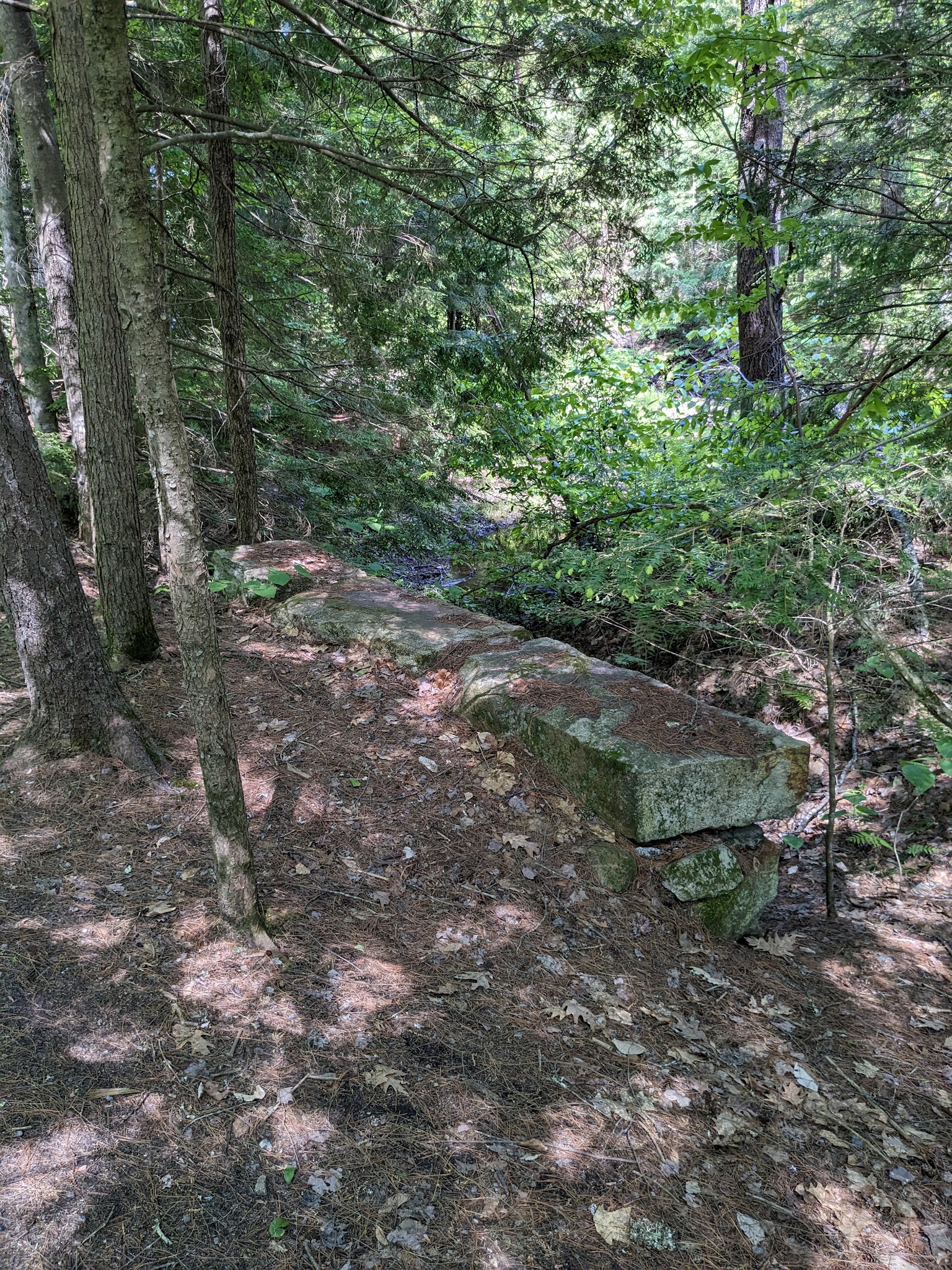 New Boston Rail Trailhead - New Boston, NH