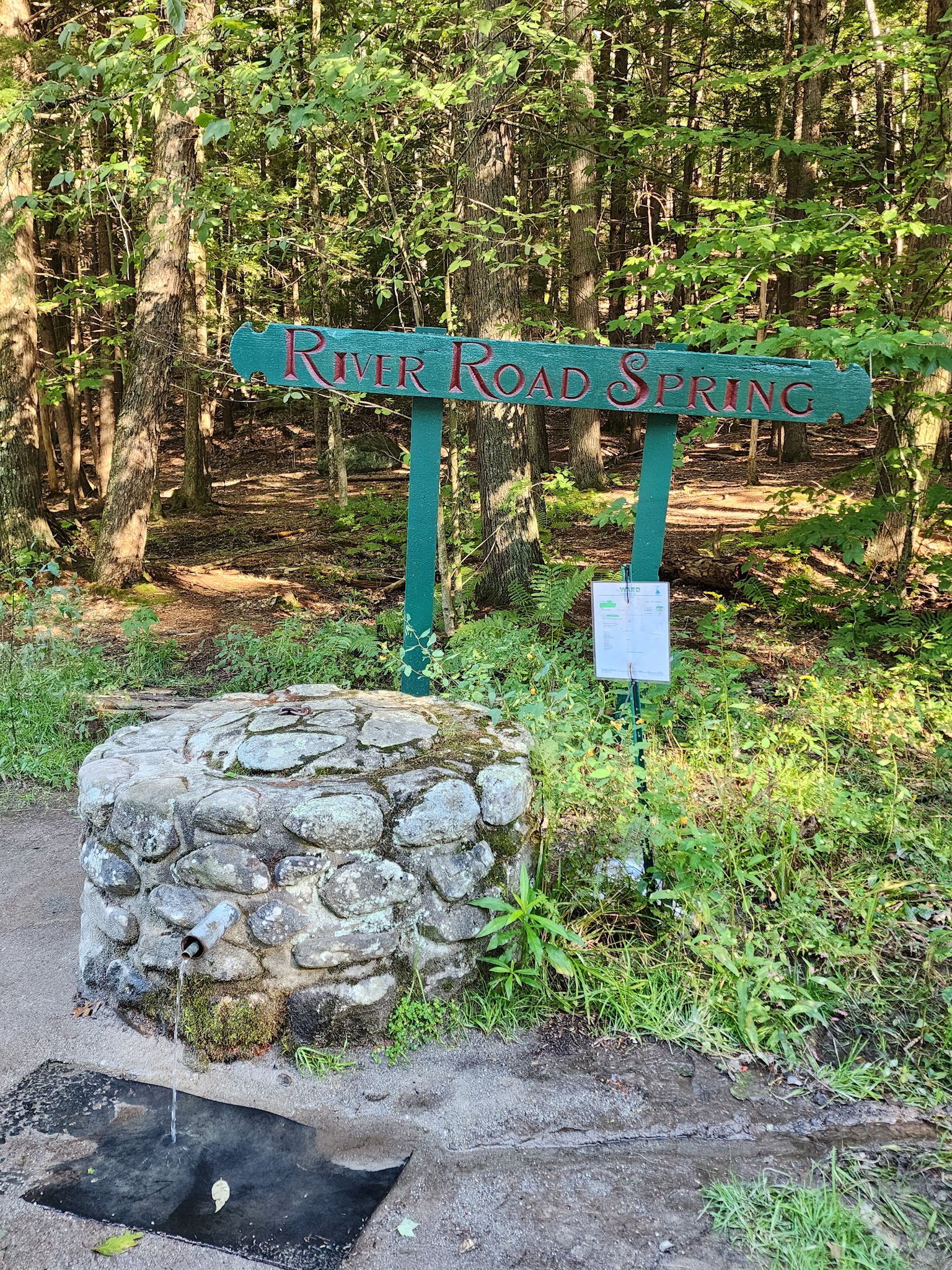 River Road Spring - New Boston, NH