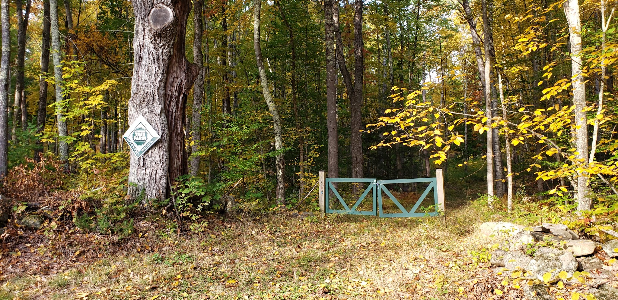 Tuthill Woodlands Preserve - New Boston, NH