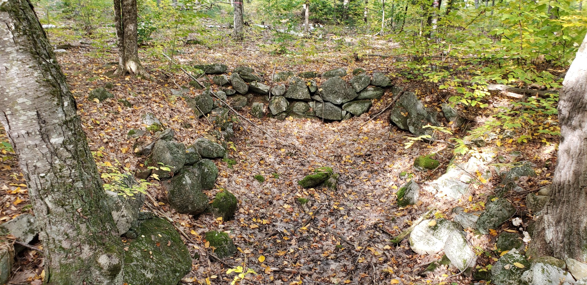 Tuthill Woodlands Preserve - New Boston, NH