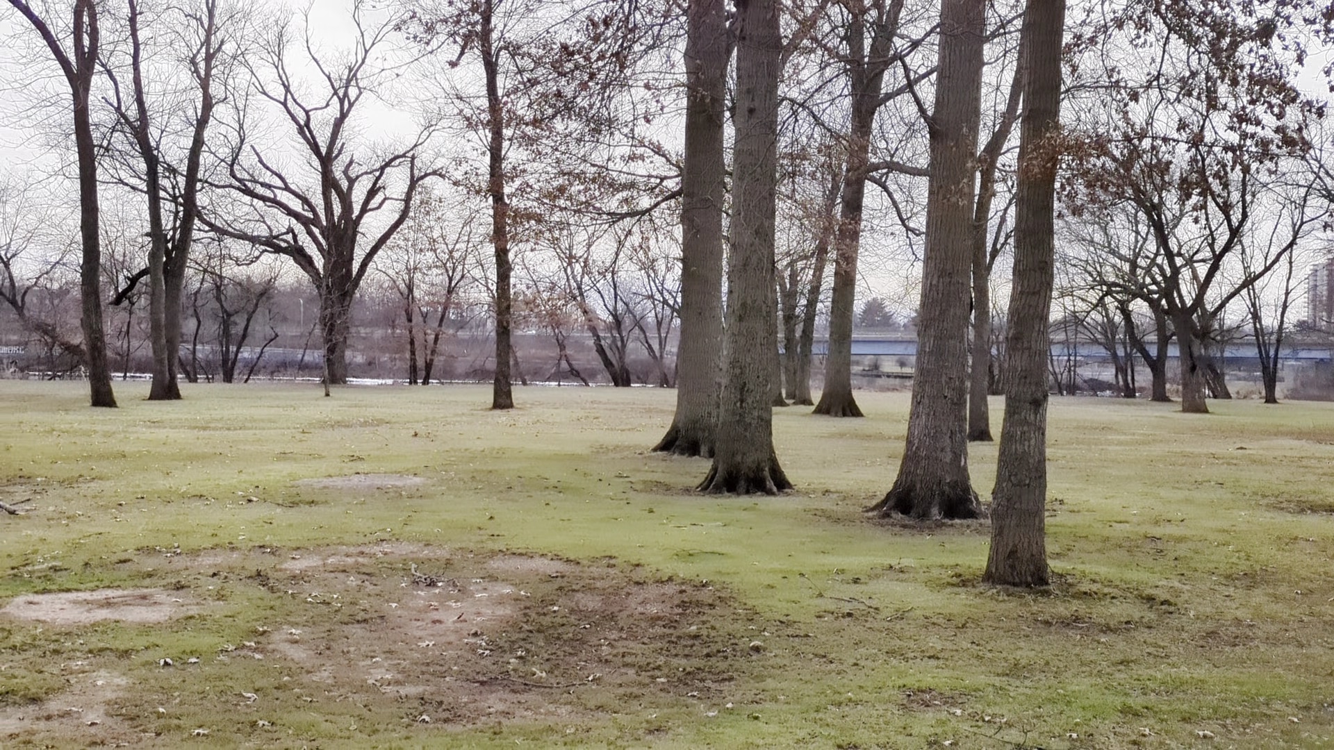 Buccleuch Park - New Brunswick, NJ