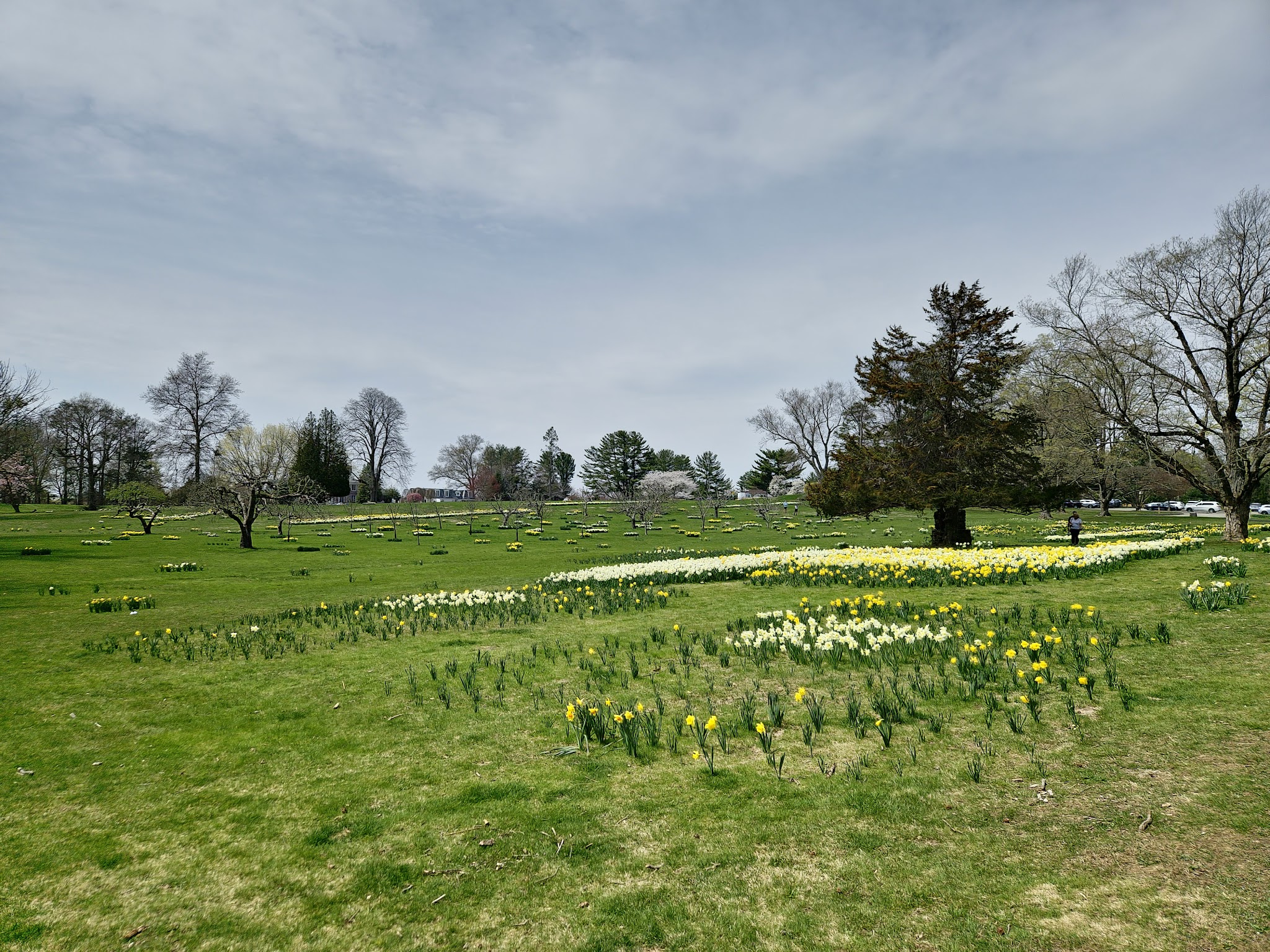 Irwin Park - New Canaan, CT