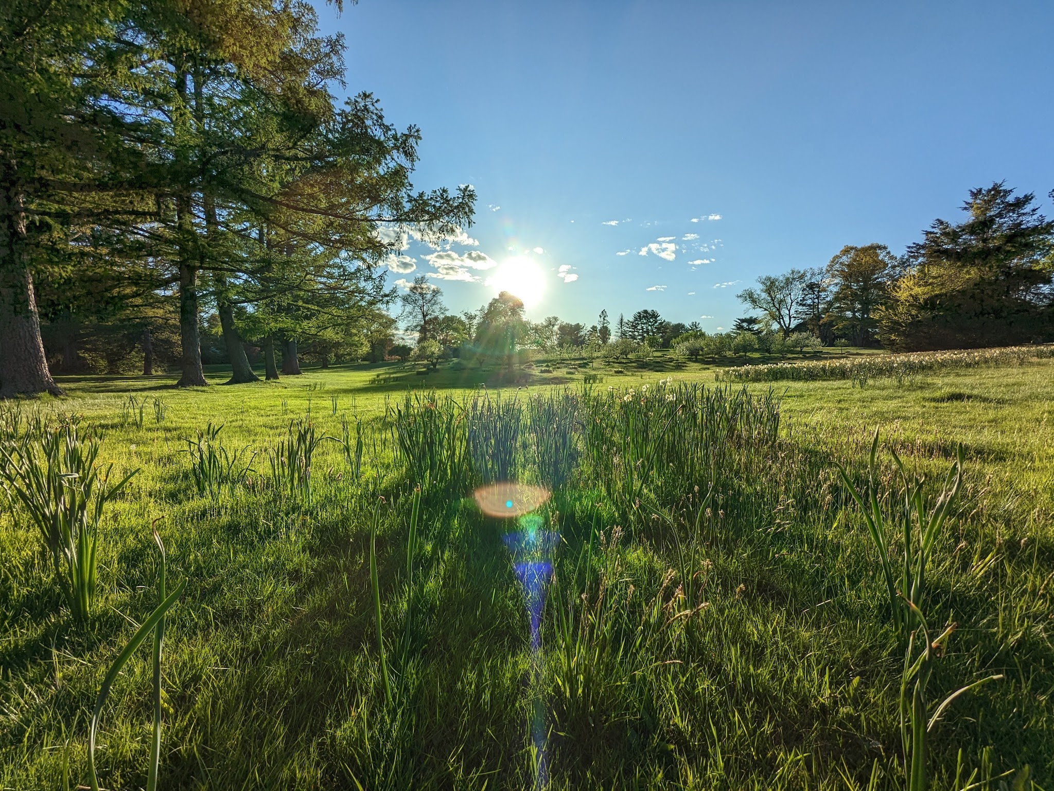 Irwin Park - New Canaan, CT