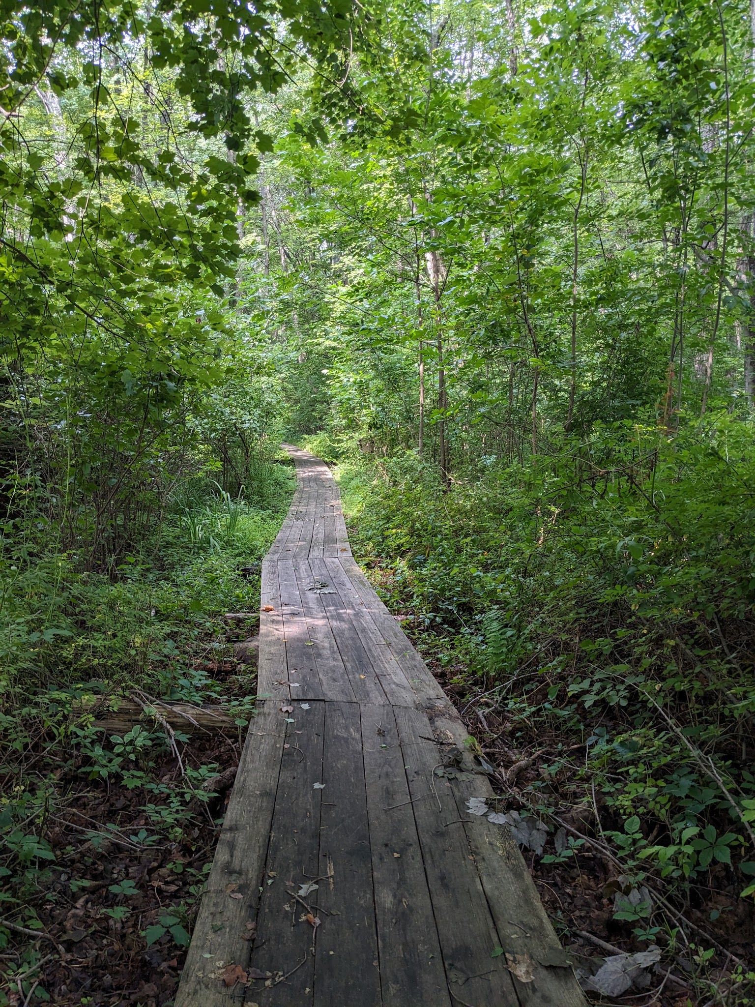 Livingston-Higley Meadow (NCLT) - New Canaan, CT