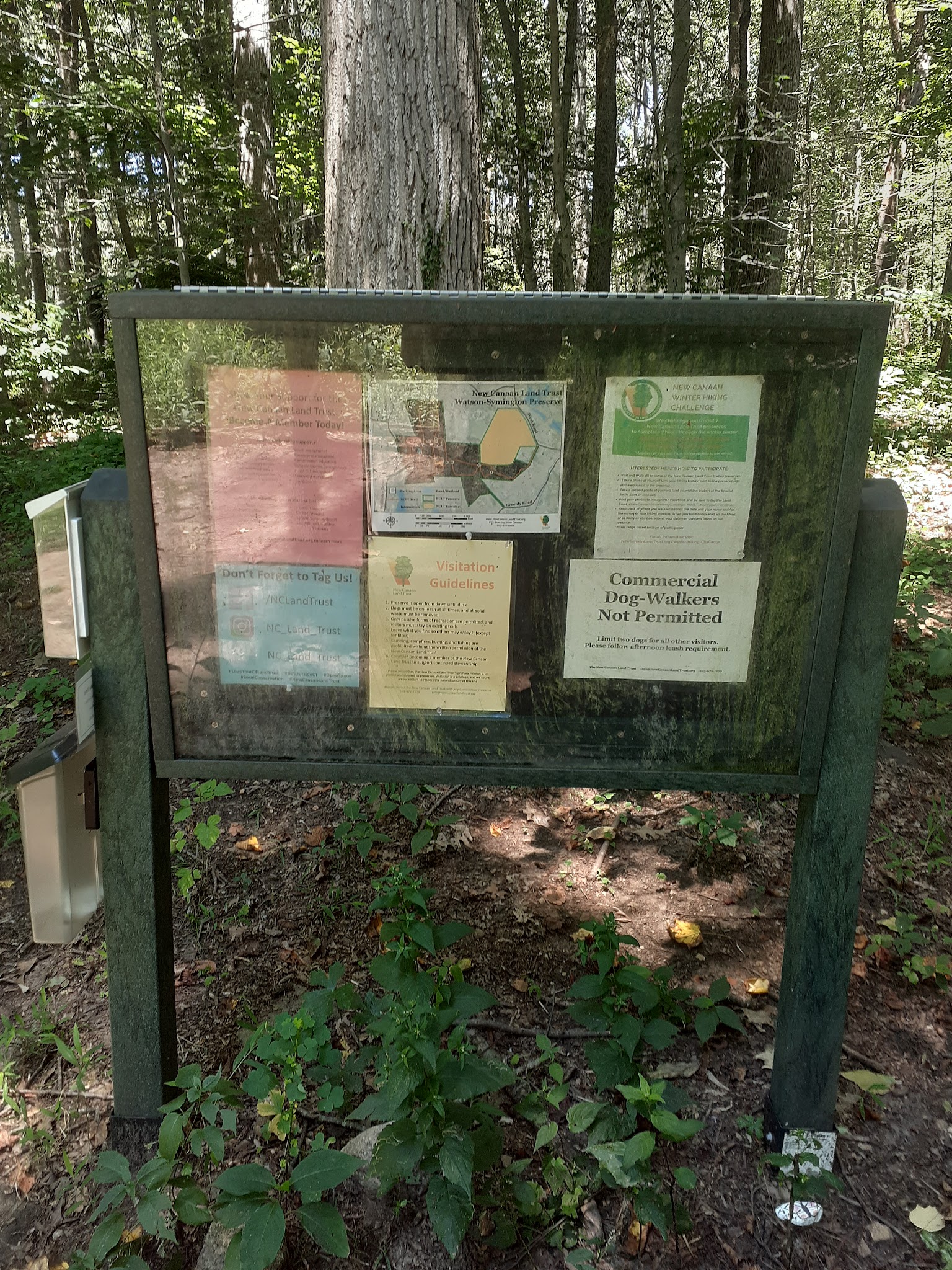 Watson Symington Woodlands (NCLT) - New Canaan, CT