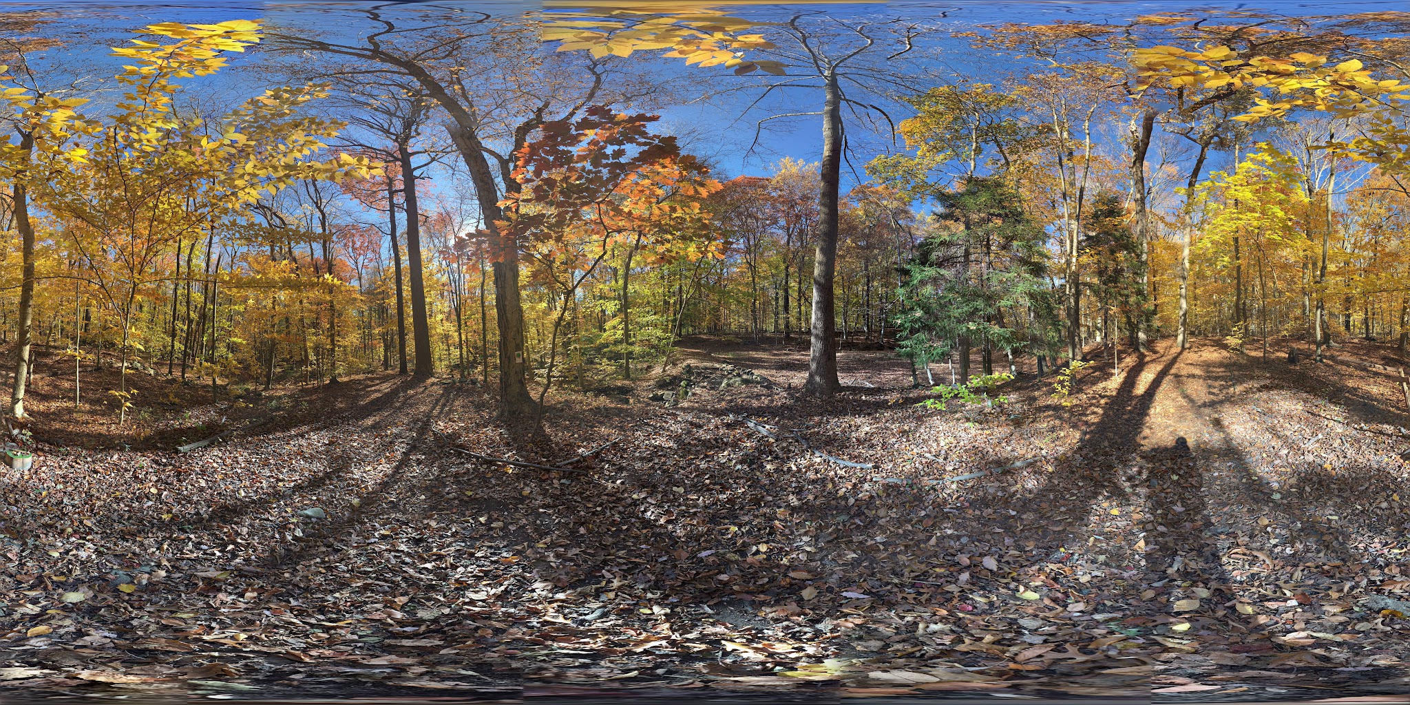 Watson Symington Woodlands (NCLT) - New Canaan, CT