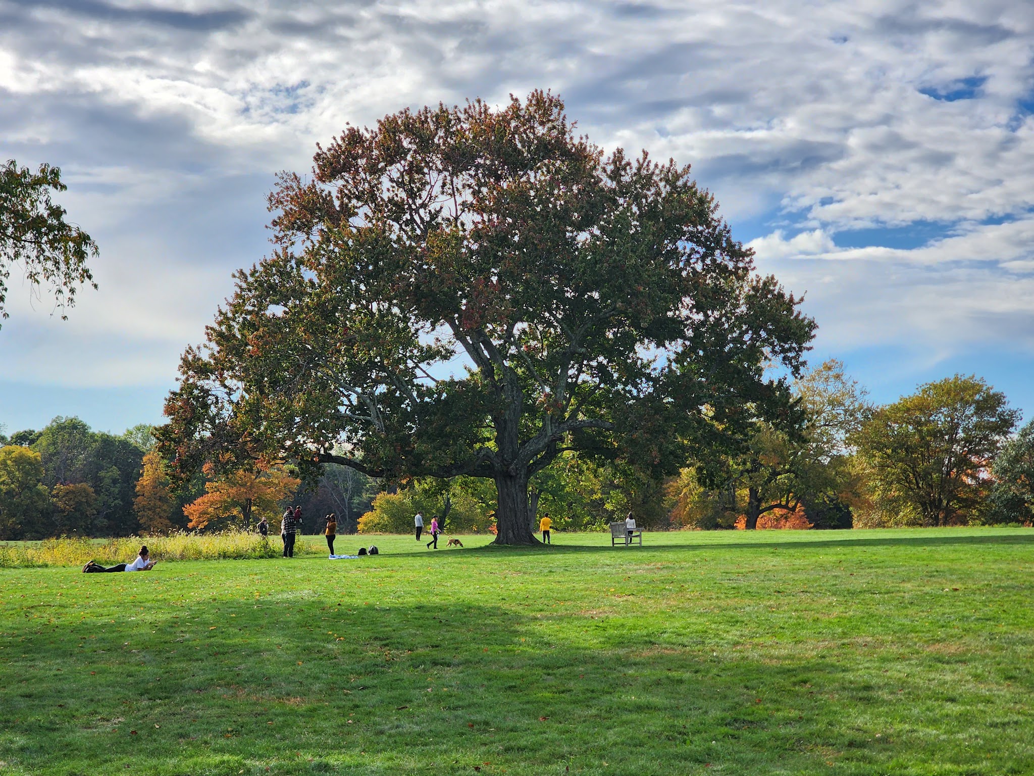 Waveny Park - New Canaan, CT