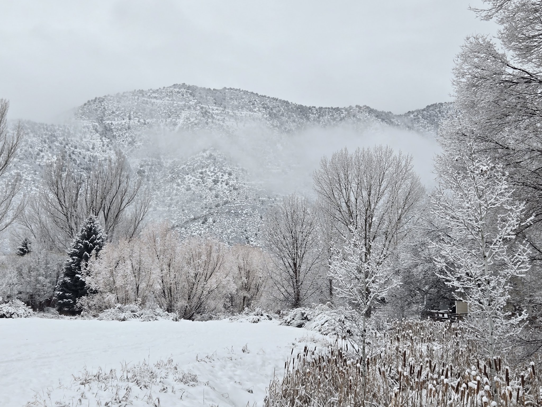 Alder Park - New Castle, CO