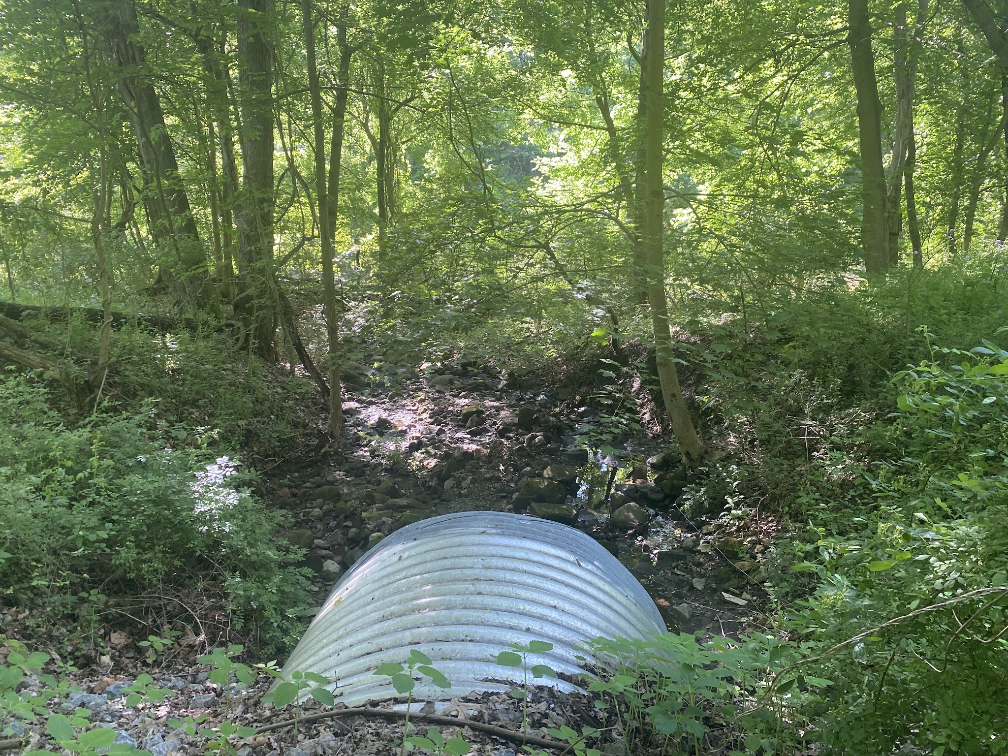 Riverwalk Trail - New Castle, PA