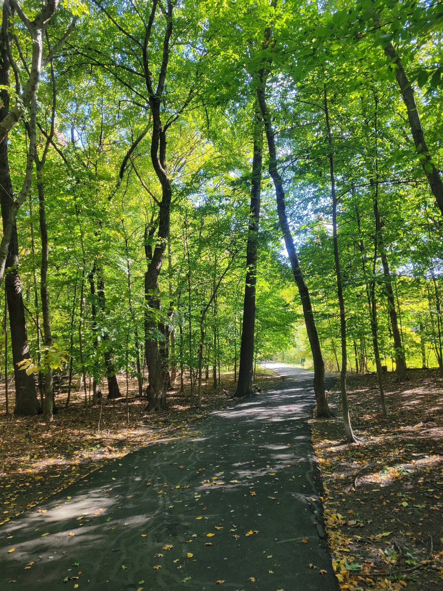 Demarest Kill County Park - New City, NY
