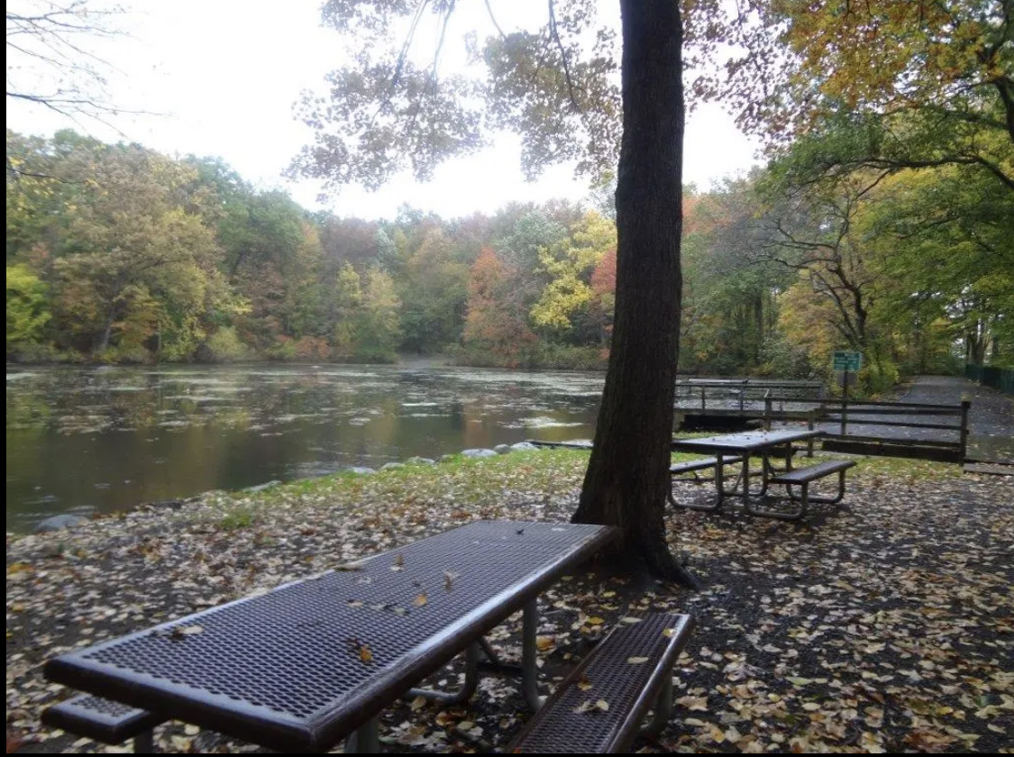 Demarest Kill County Park - New City, NY