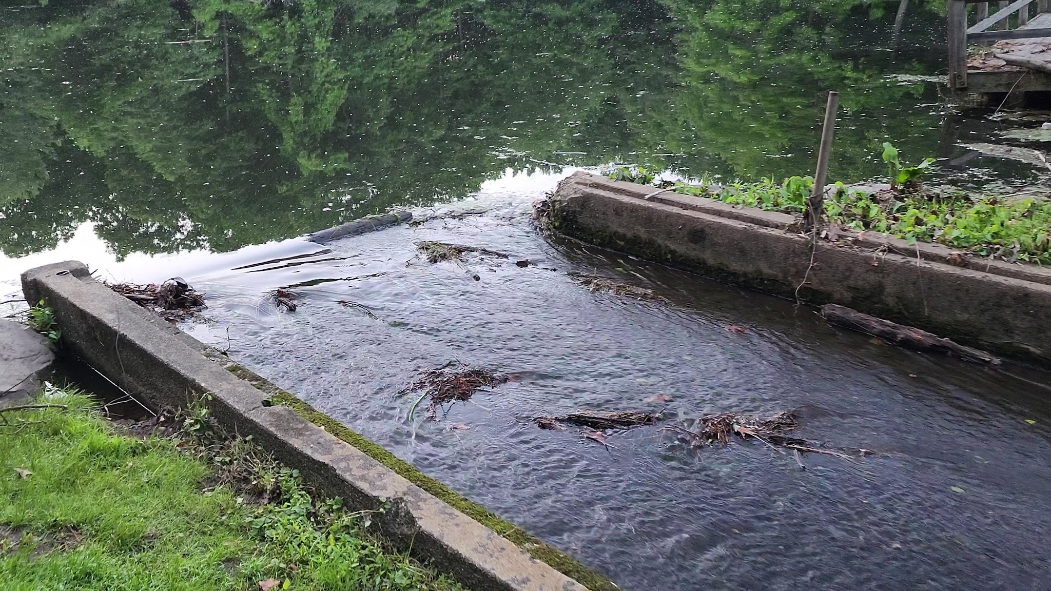 Demarest Kill County Park - New City, NY