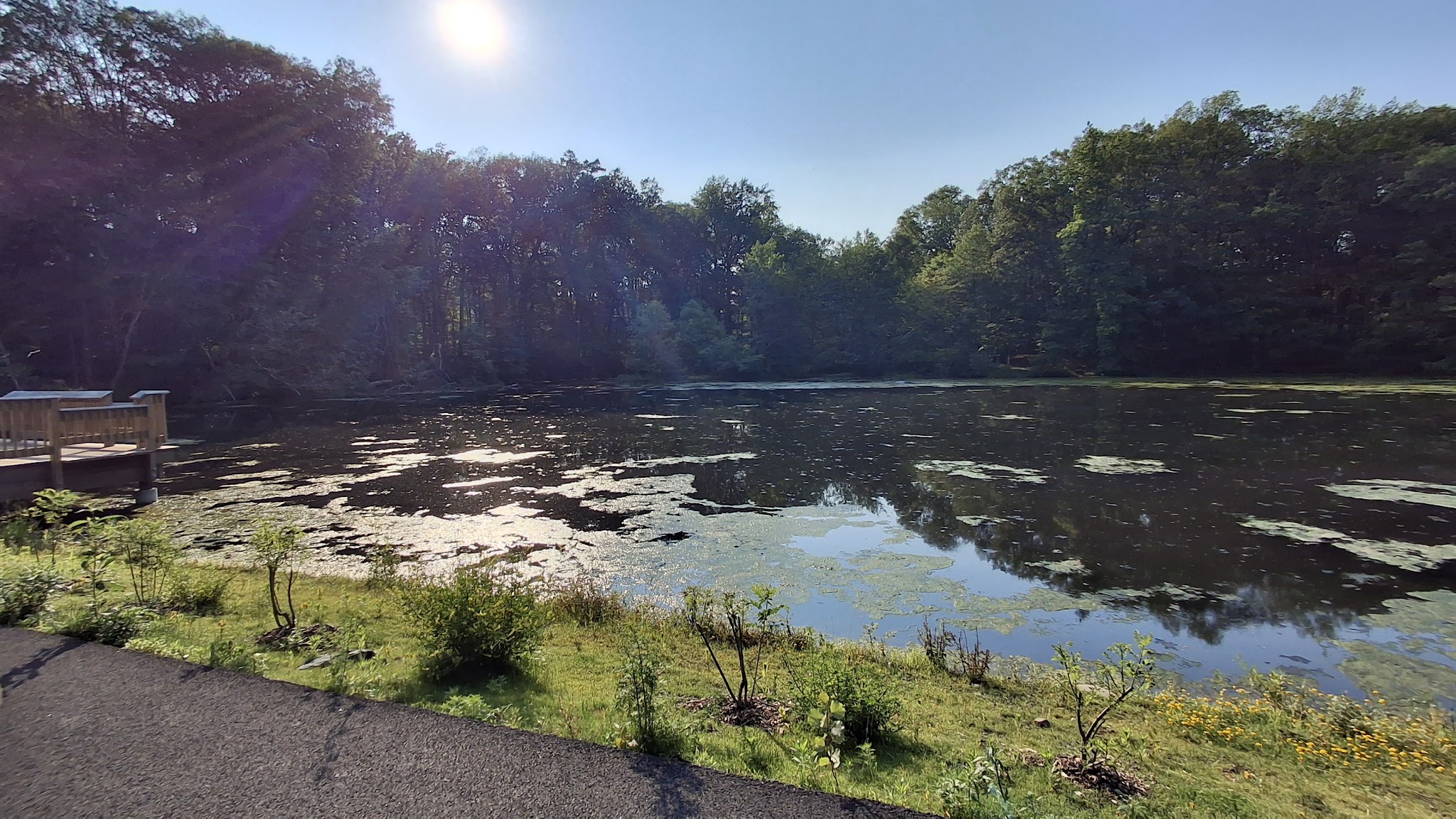 Demarest Kill County Park - New City, NY