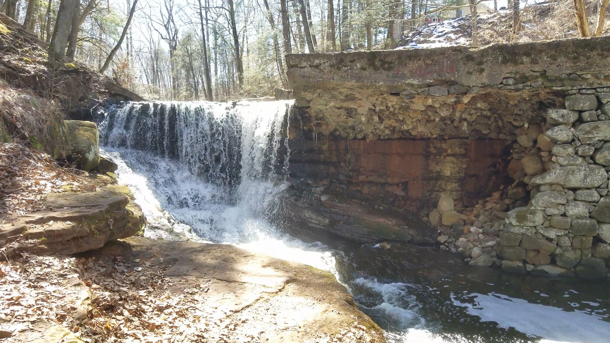 Kennedy Dells County Park Loop Hike - New City, NY