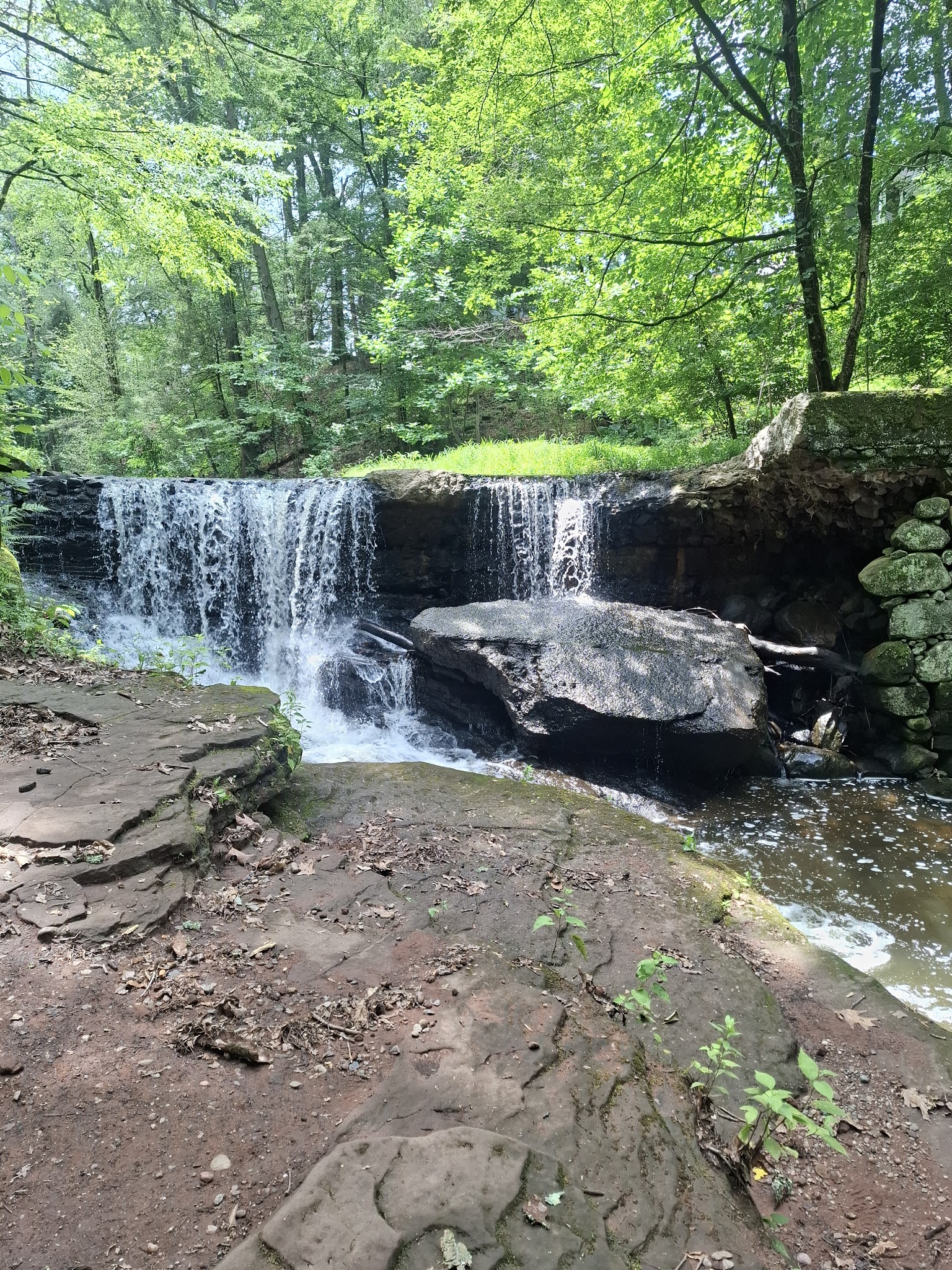 Kennedy Dells County Park Loop Hike - New City, NY