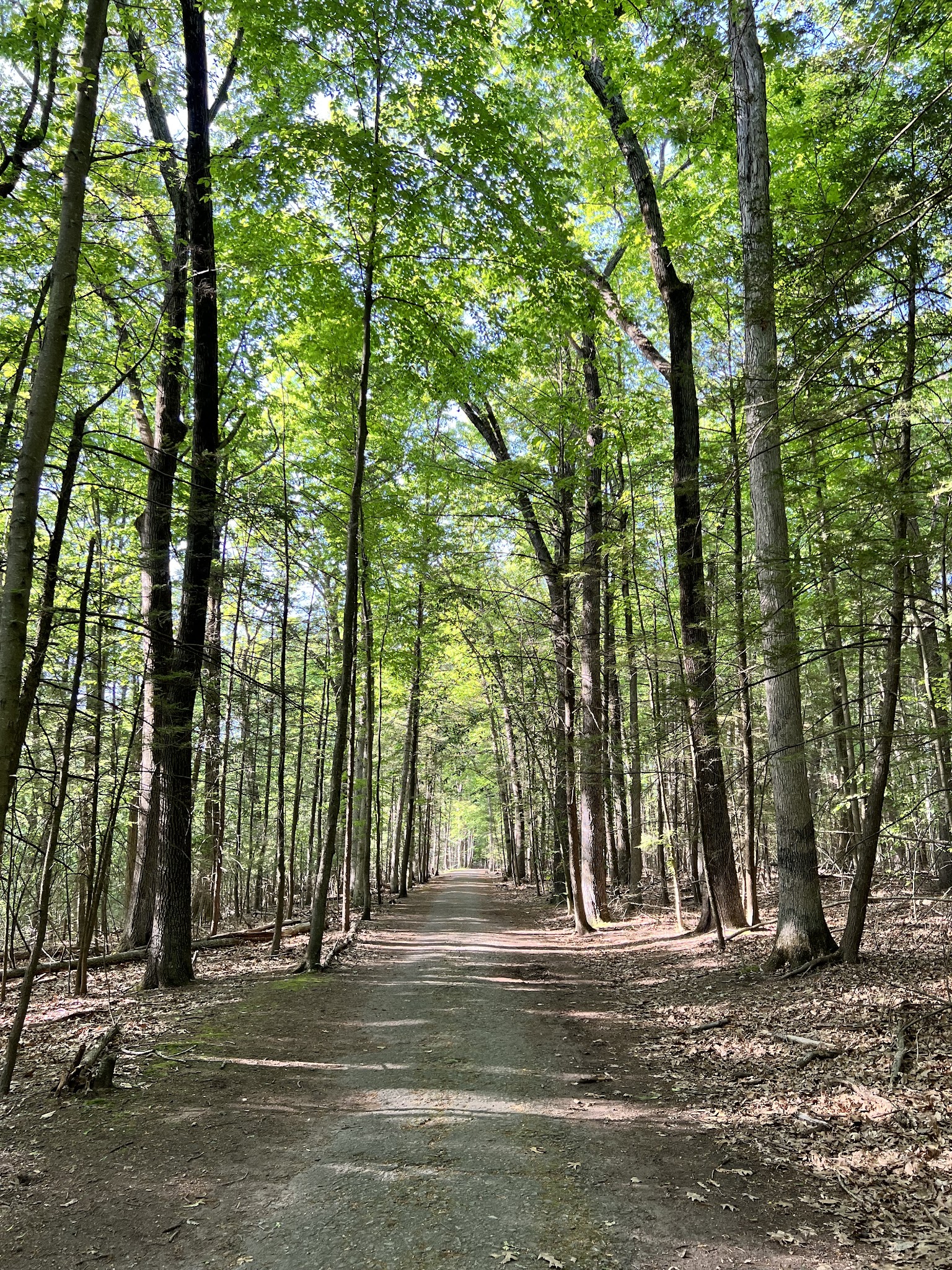 Kennedy Dells County Park Loop Hike - New City, NY