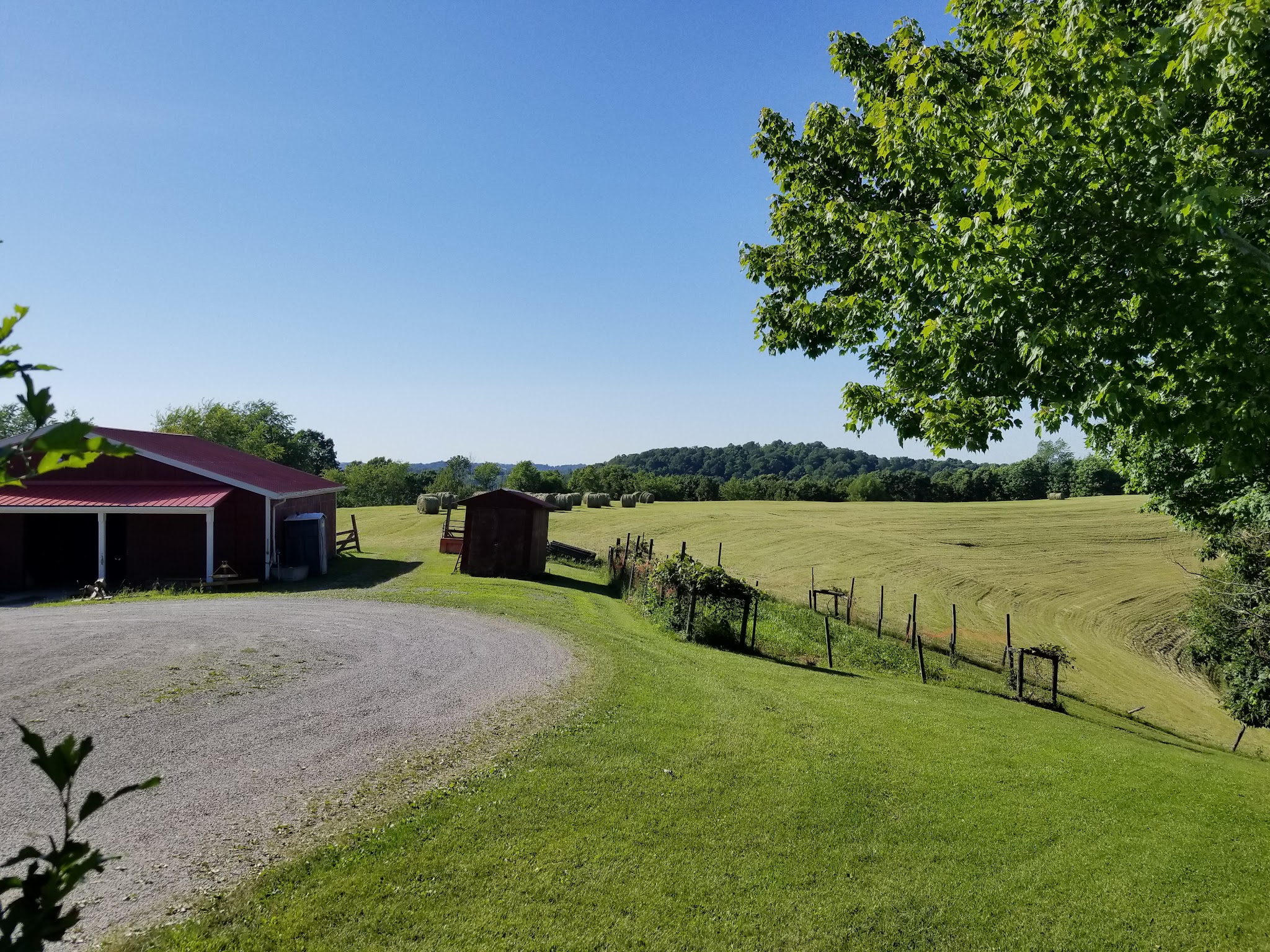 Springhill Animal Clinic - New Freeport, PA