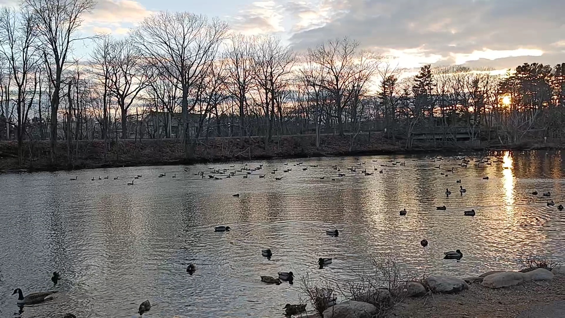 Edgewood Park - New Haven, CT