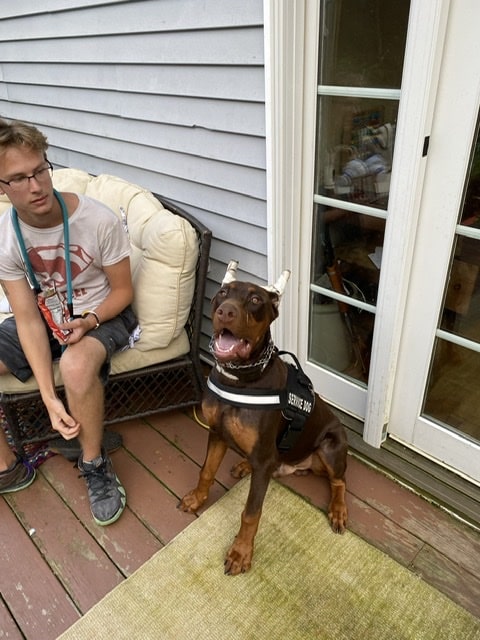 Fox Farm Kennel - New Ipswich, NH