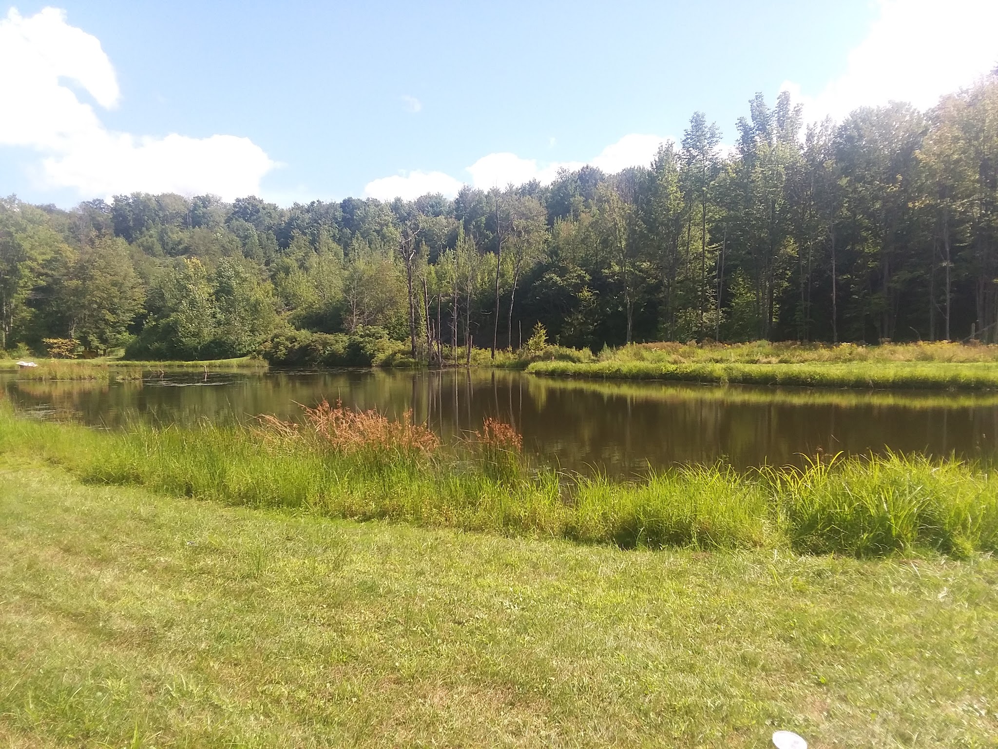 Montrose Campground - New Milford, PA