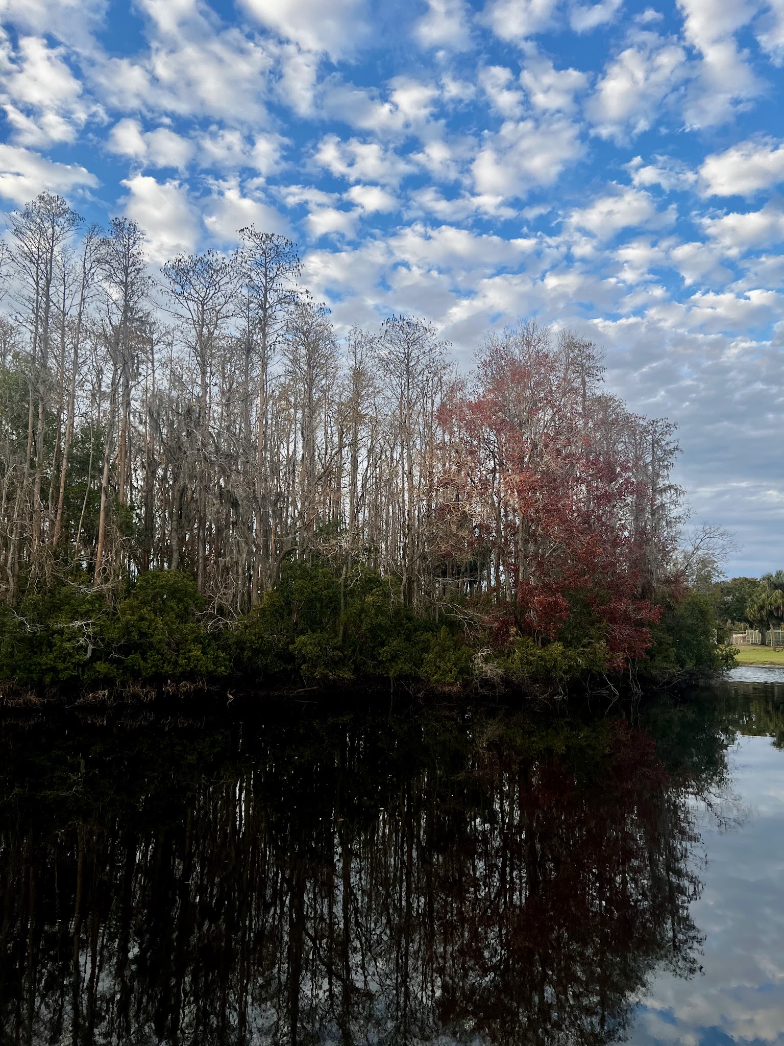 Restful Park: Starkey LL - New Port Richey, FL