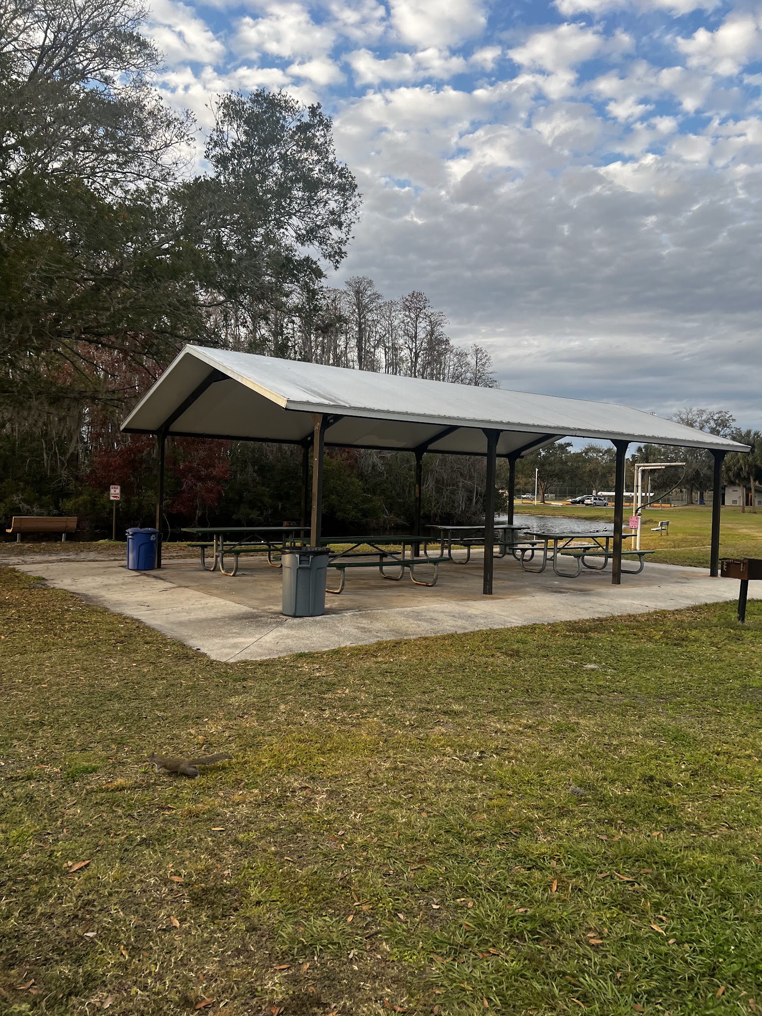 Restful Park: Starkey LL - New Port Richey, FL