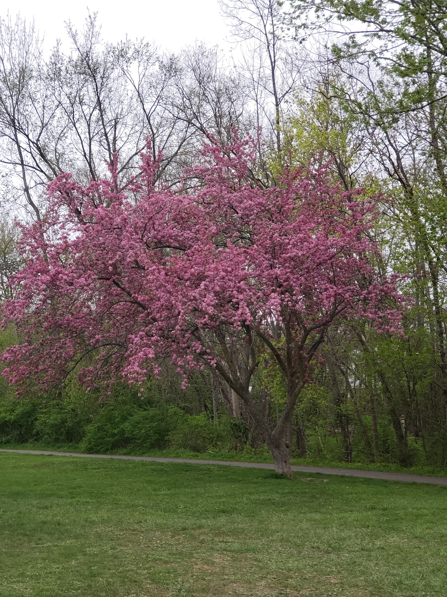 Jaycees Park - New Providence, NJ