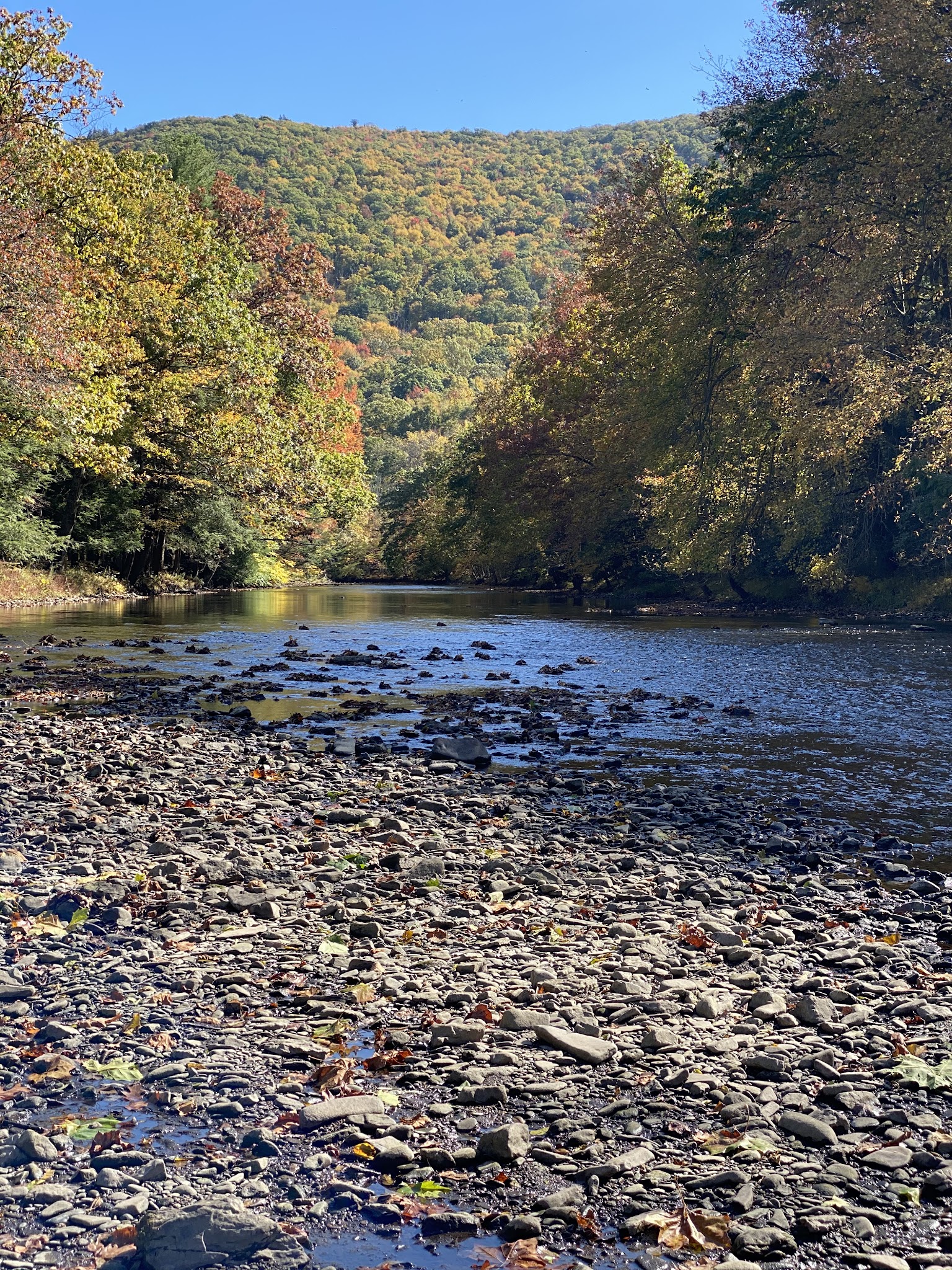 Hipcamp at Hawk Shadow Farm - New Ringgold, PA
