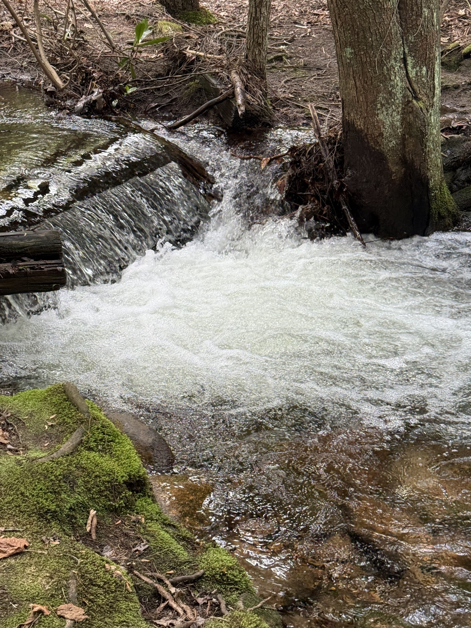 Hipcamp at Hawk Shadow Farm - New Ringgold, PA