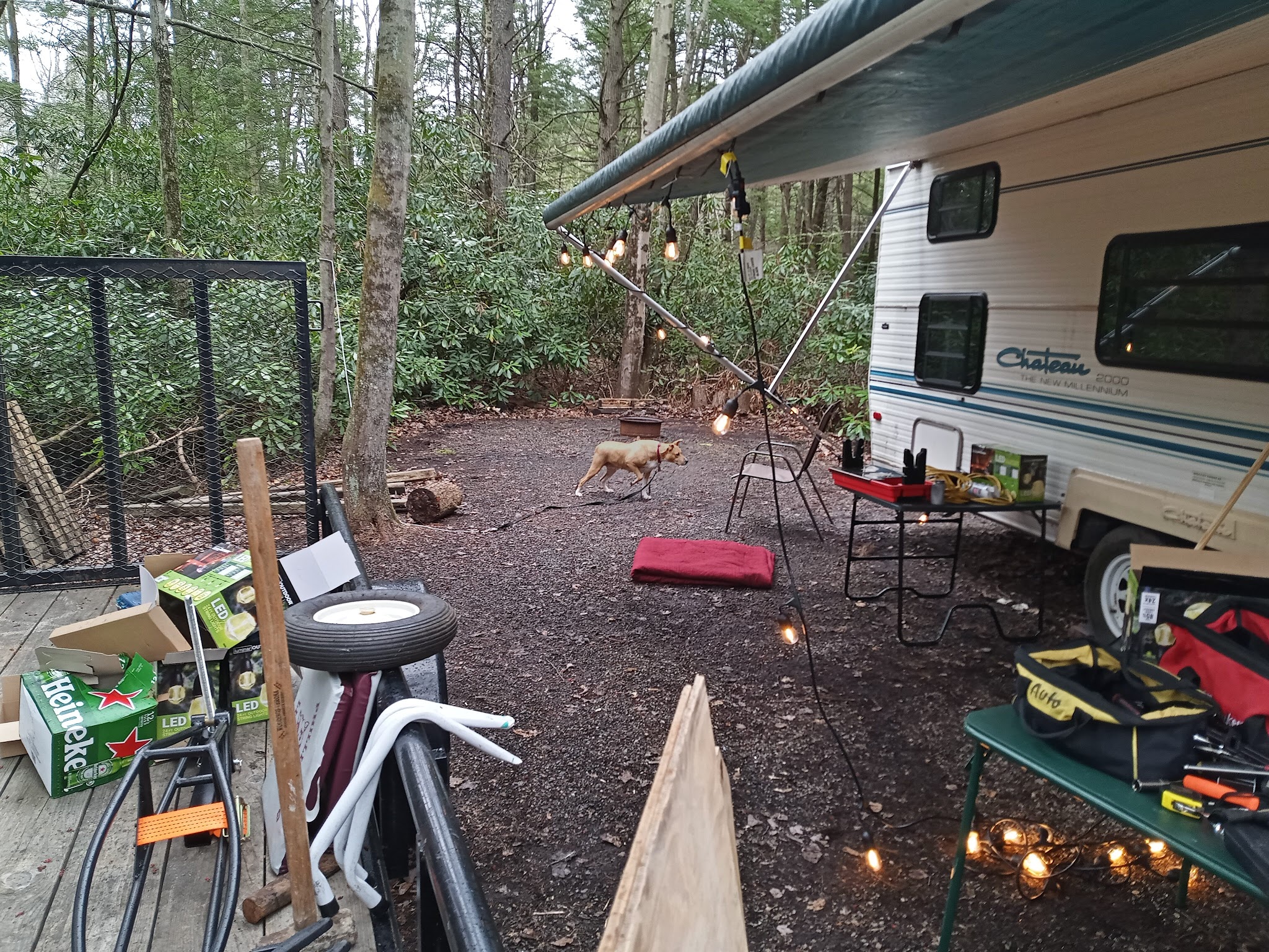 Laurel Lake Campsites - New Ringgold, PA