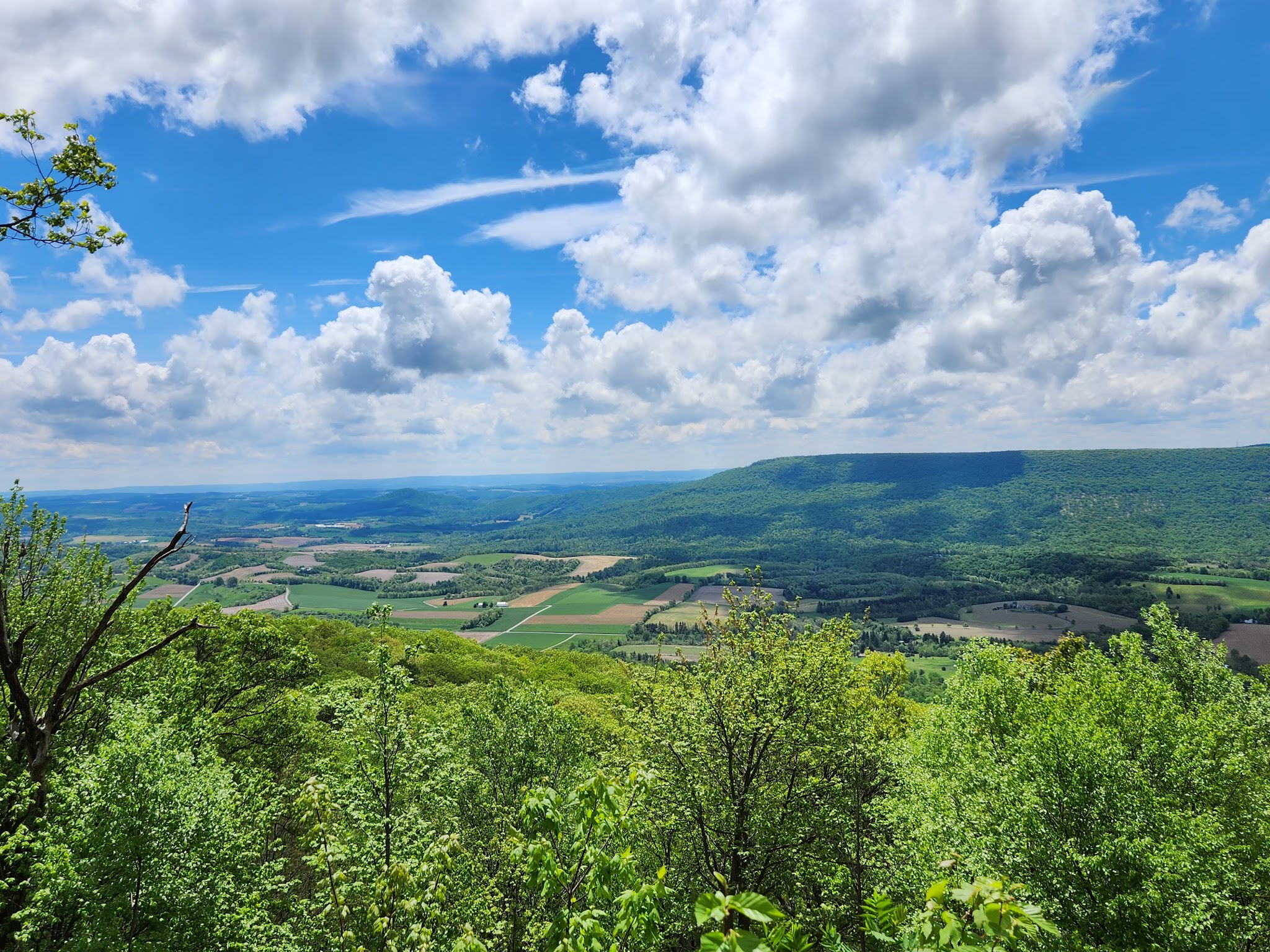 State Game Lands Number 106 - New Ringgold, PA