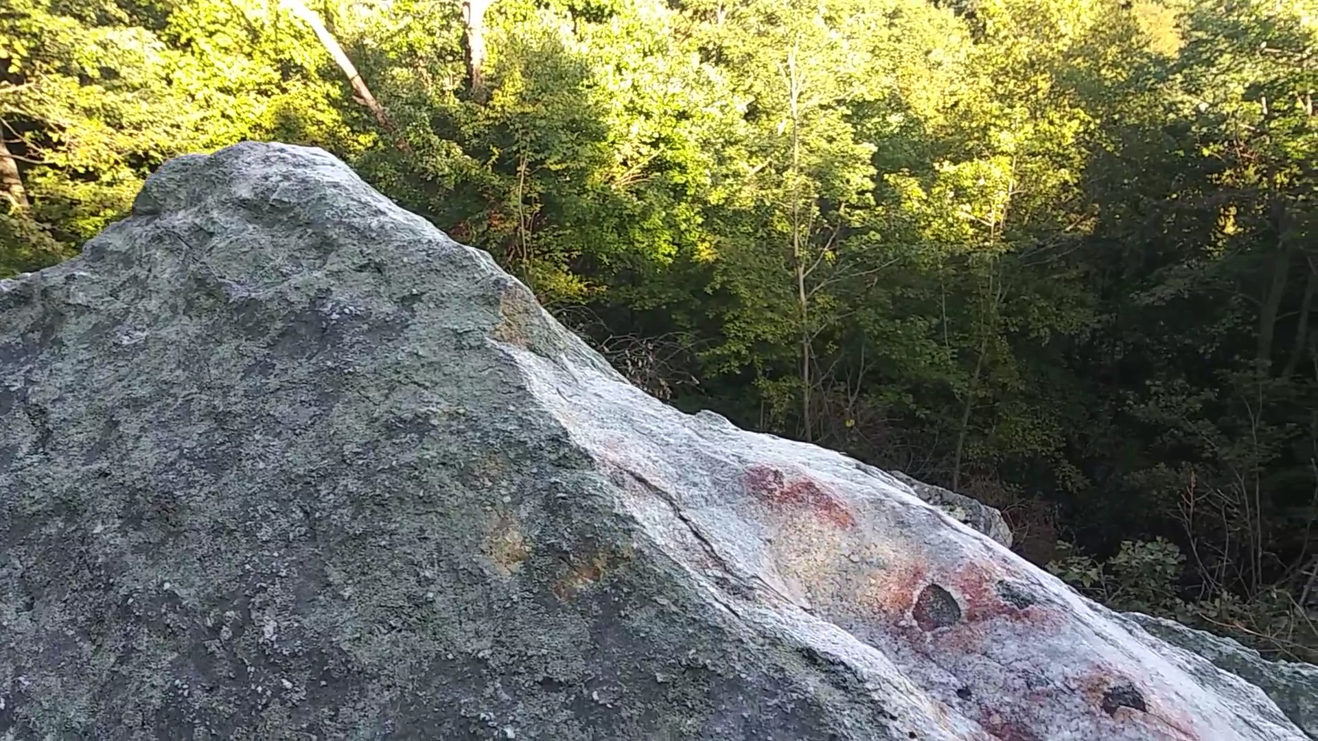 State Game Lands Number 106 - New Ringgold, PA