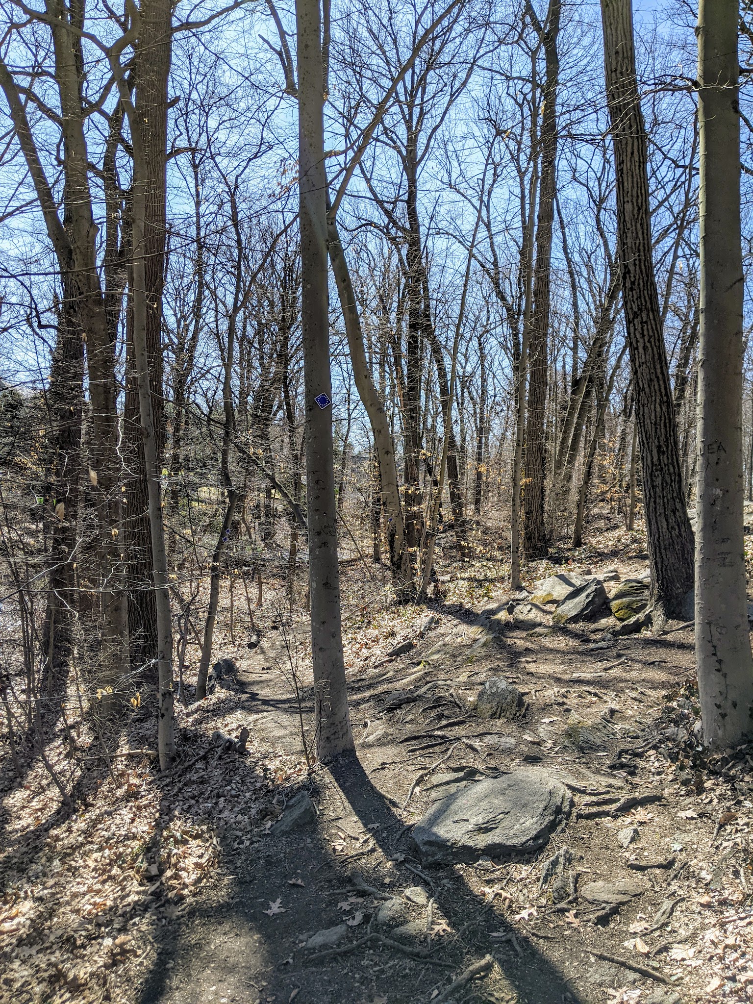 Leatherstocking Trail - New Rochelle, NY