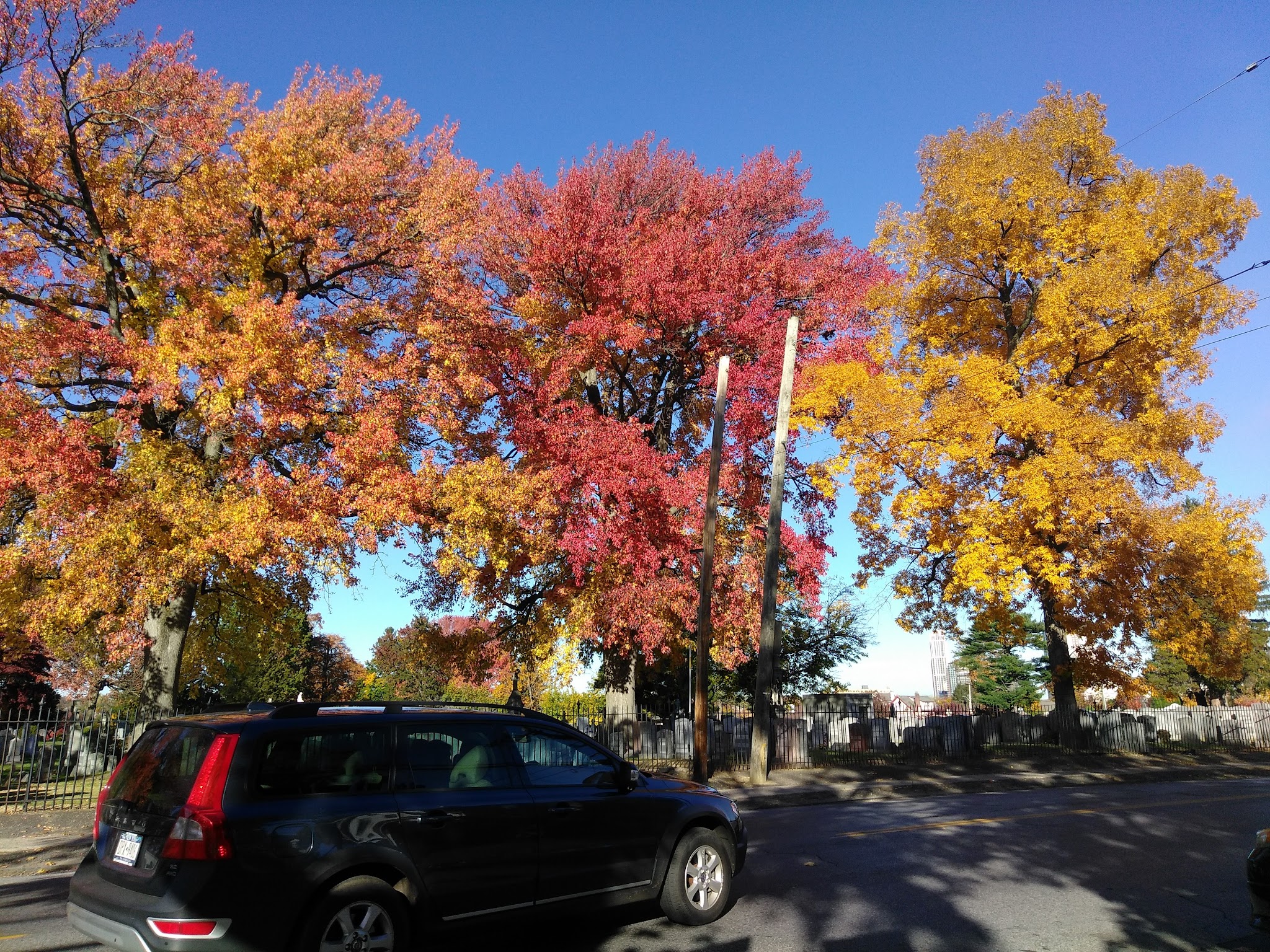 Sycamore Park - New Rochelle, NY