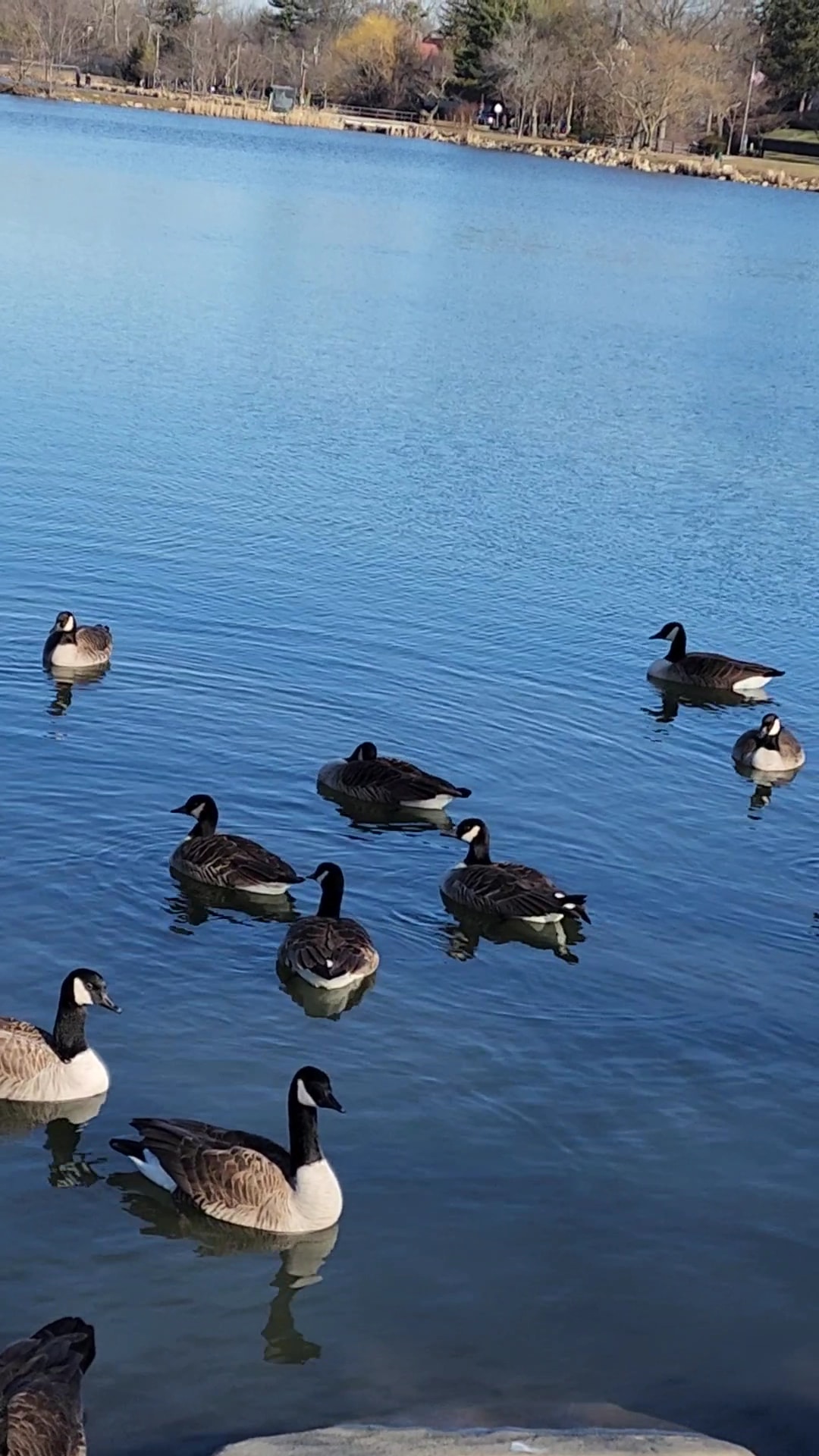 Huguenot Park - New Rochelle, NY