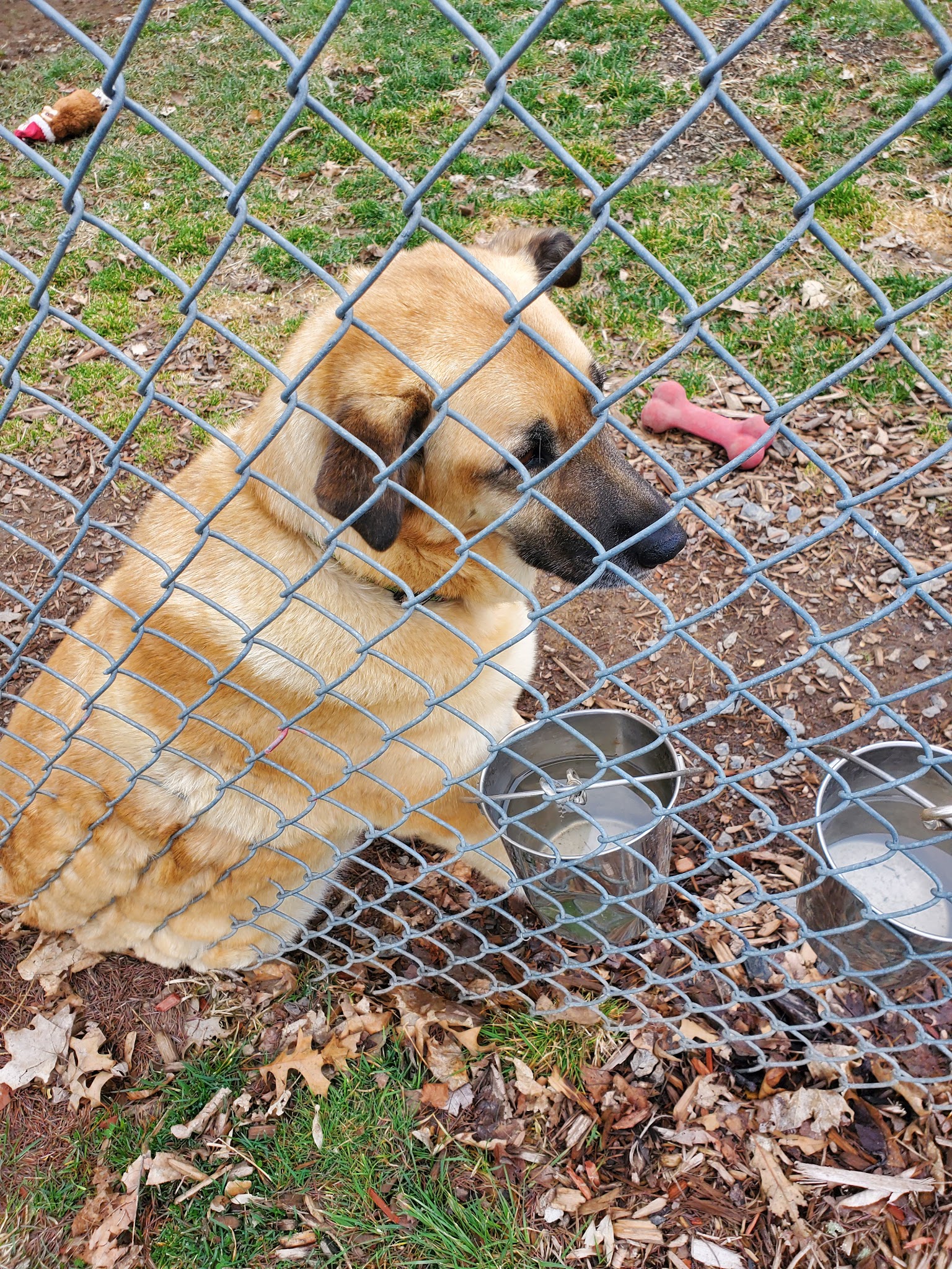 Hudson Valley SPCA - New Windsor, NY